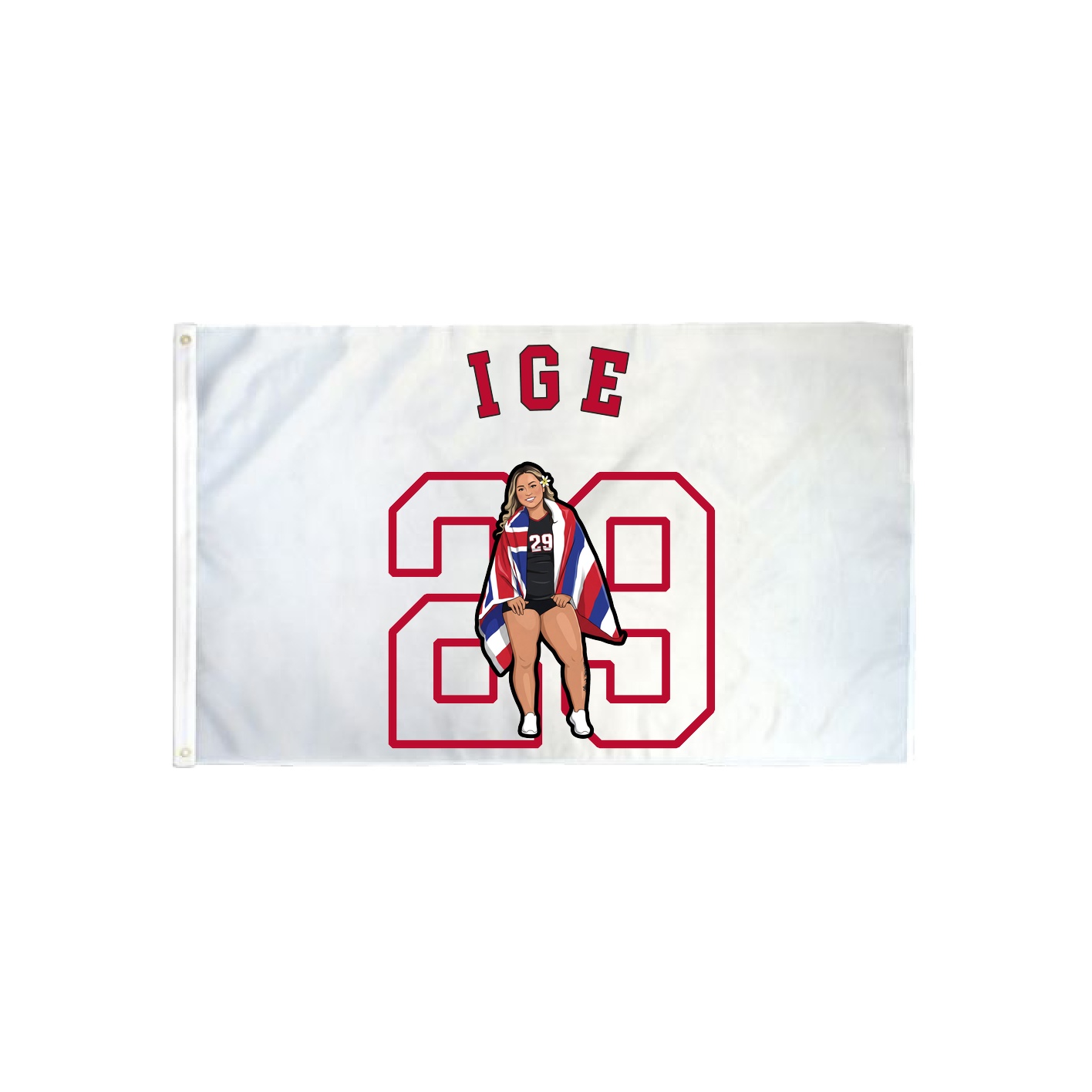3x5 Flag — Shirsey Arch in Classic
