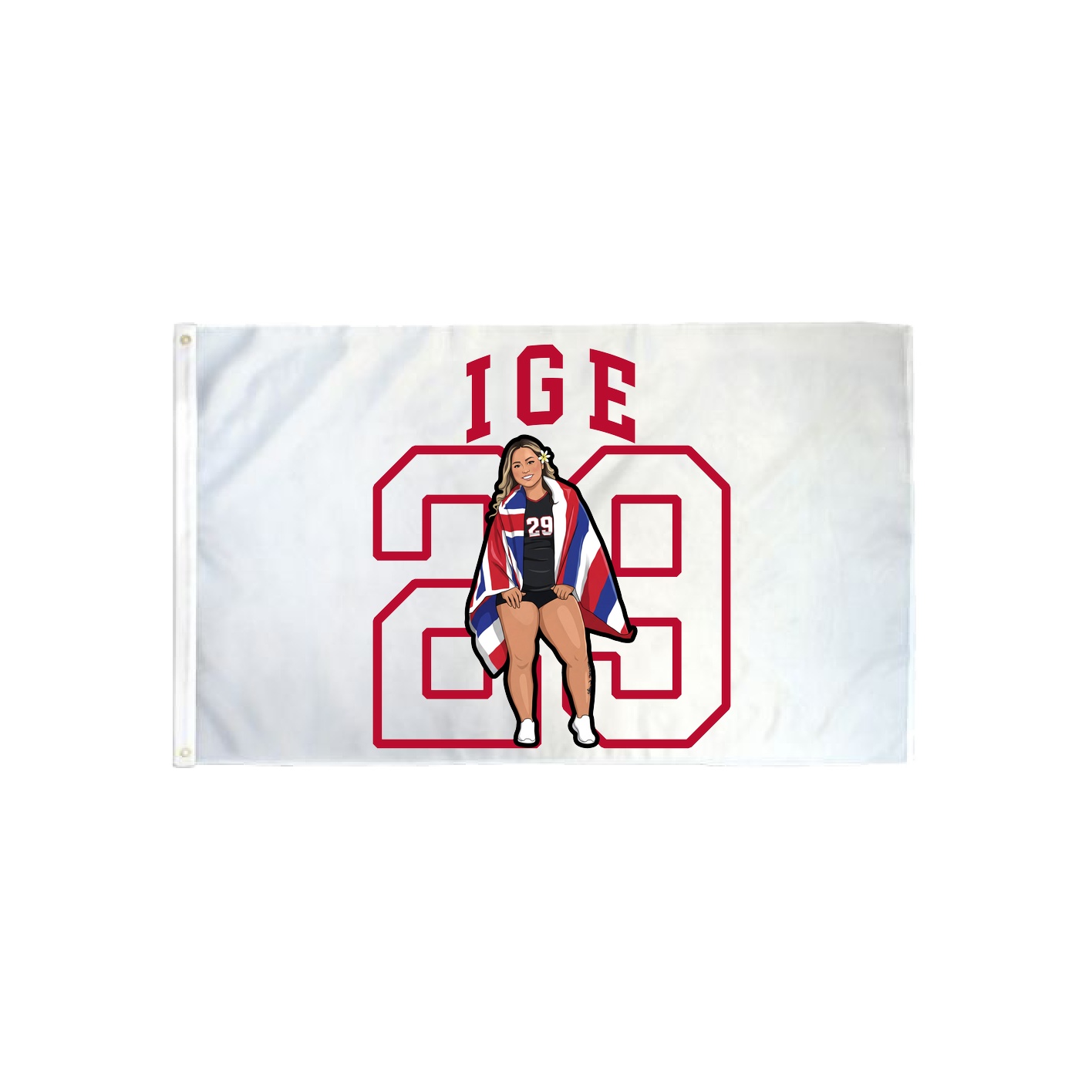 3x5 Flag — Shirsey in Classic