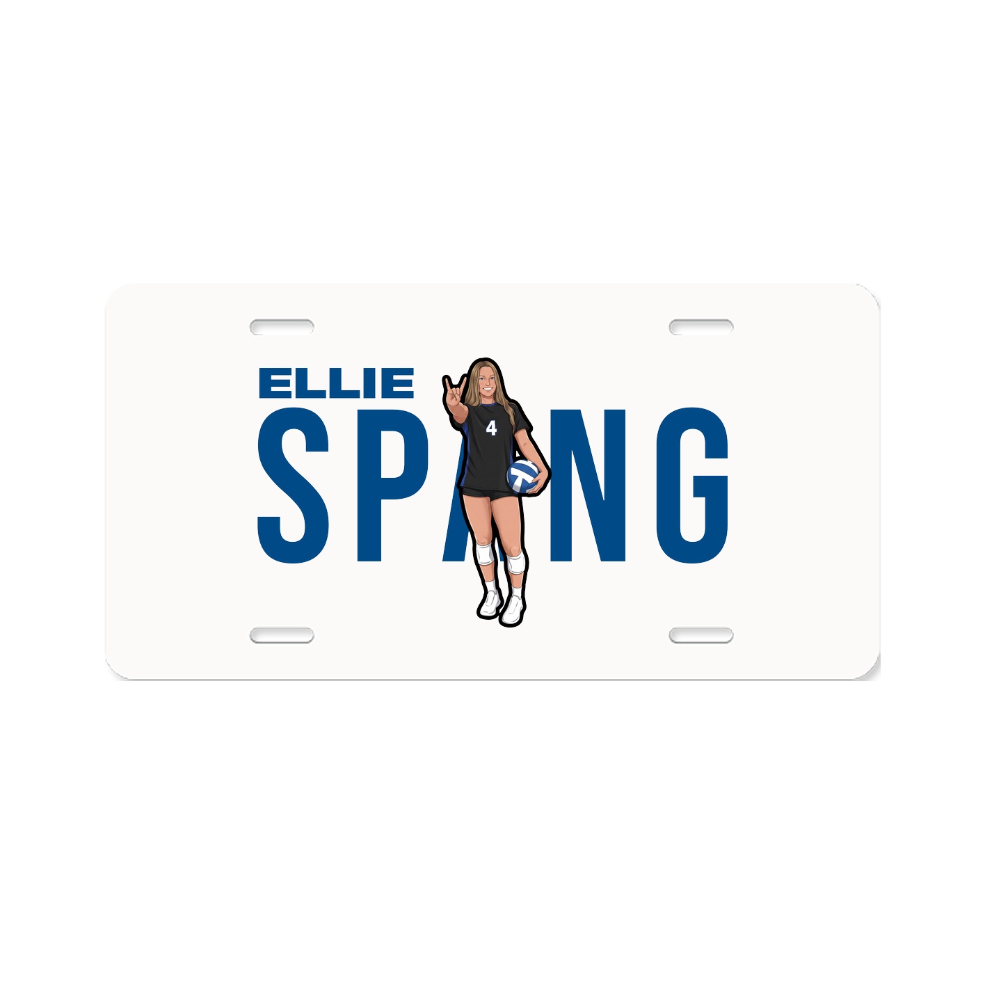 License Plate