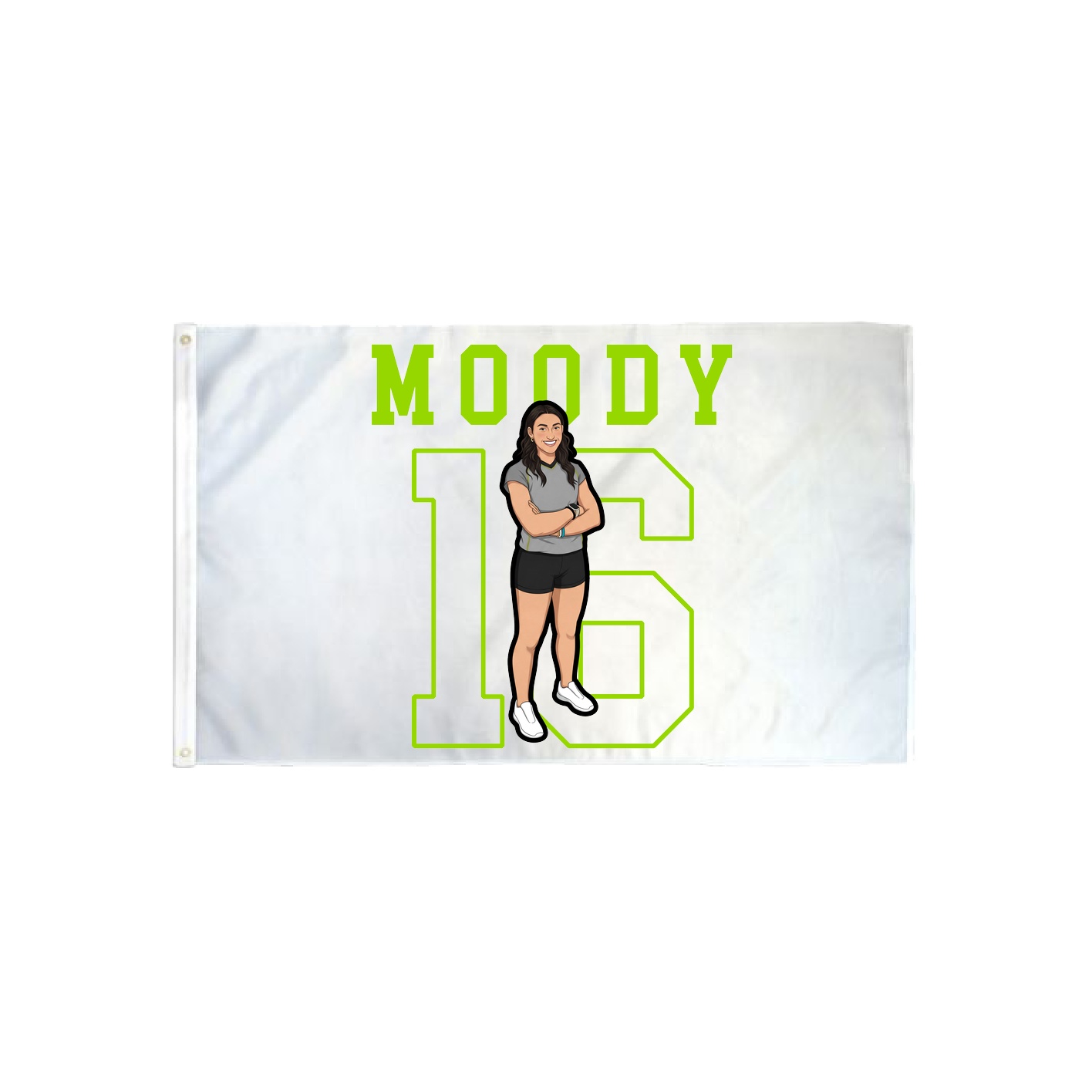 3x5 Flag — Shirsey in Classic