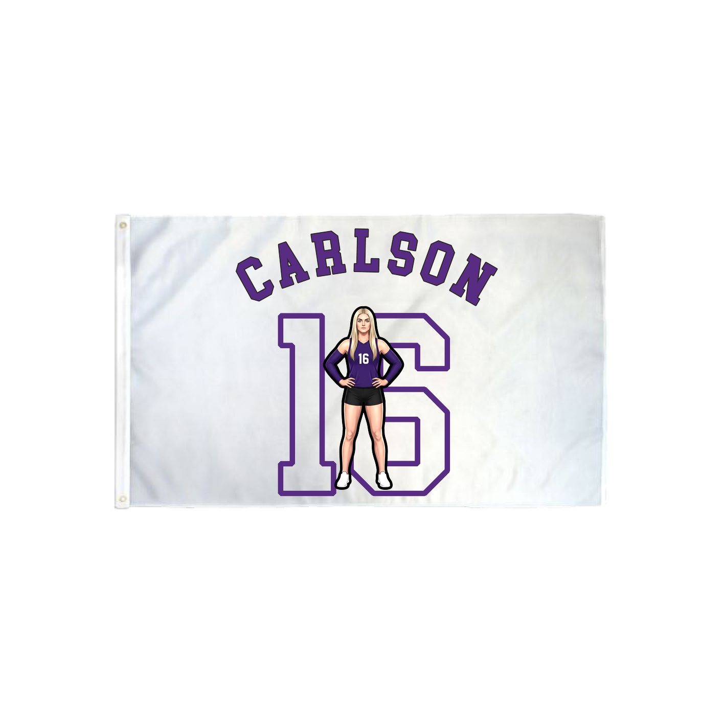 3x5 Flag — Shirsey Arch in Classic