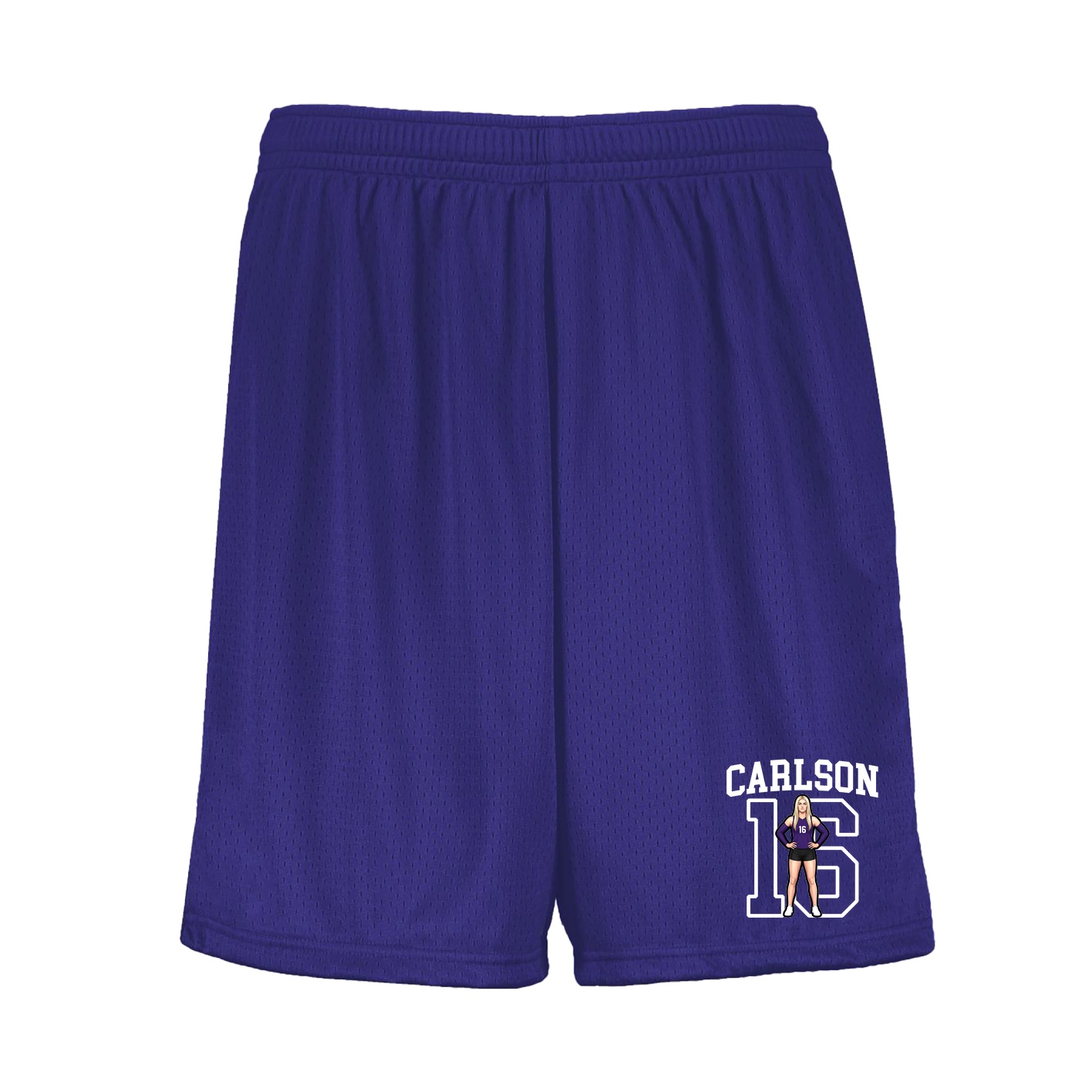 Shorts — Shirsey in Purple