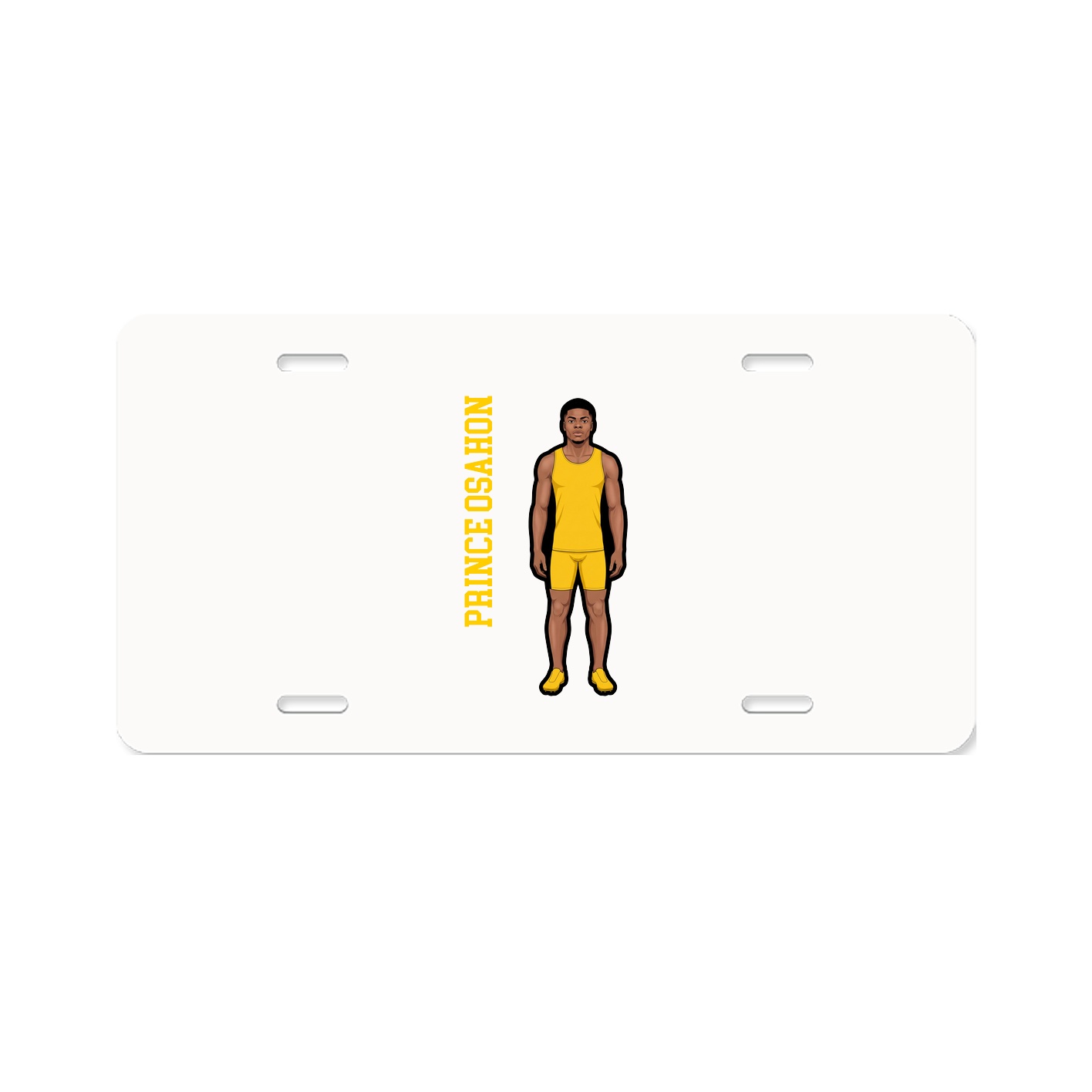 Aluminum License Plate