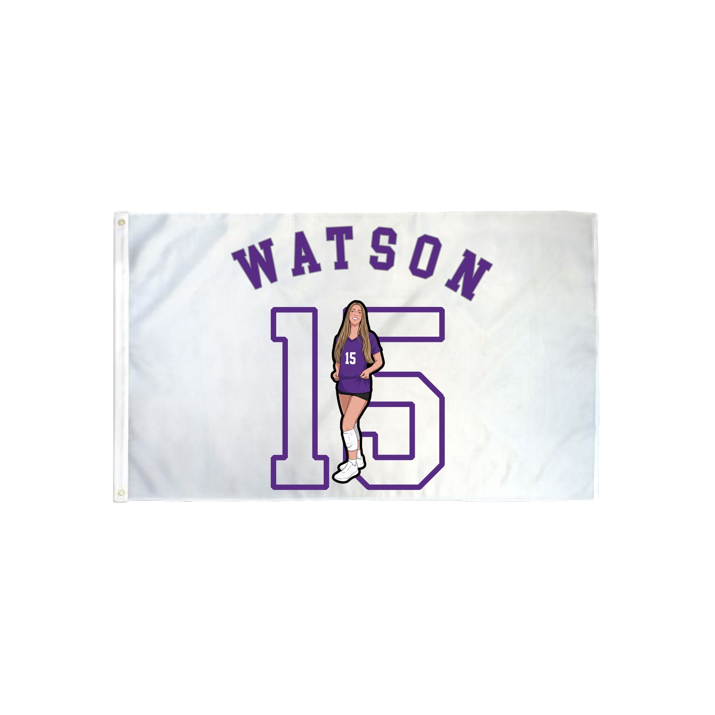3x5 Flag — Shirsey Arch in Classic