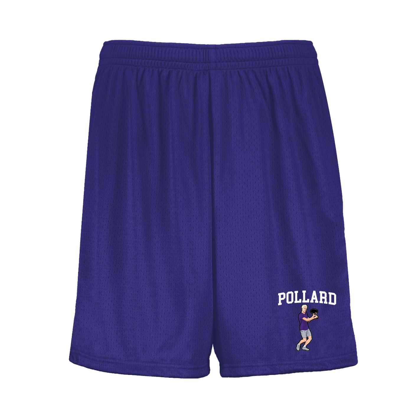 Shorts — Shirsey in Purple