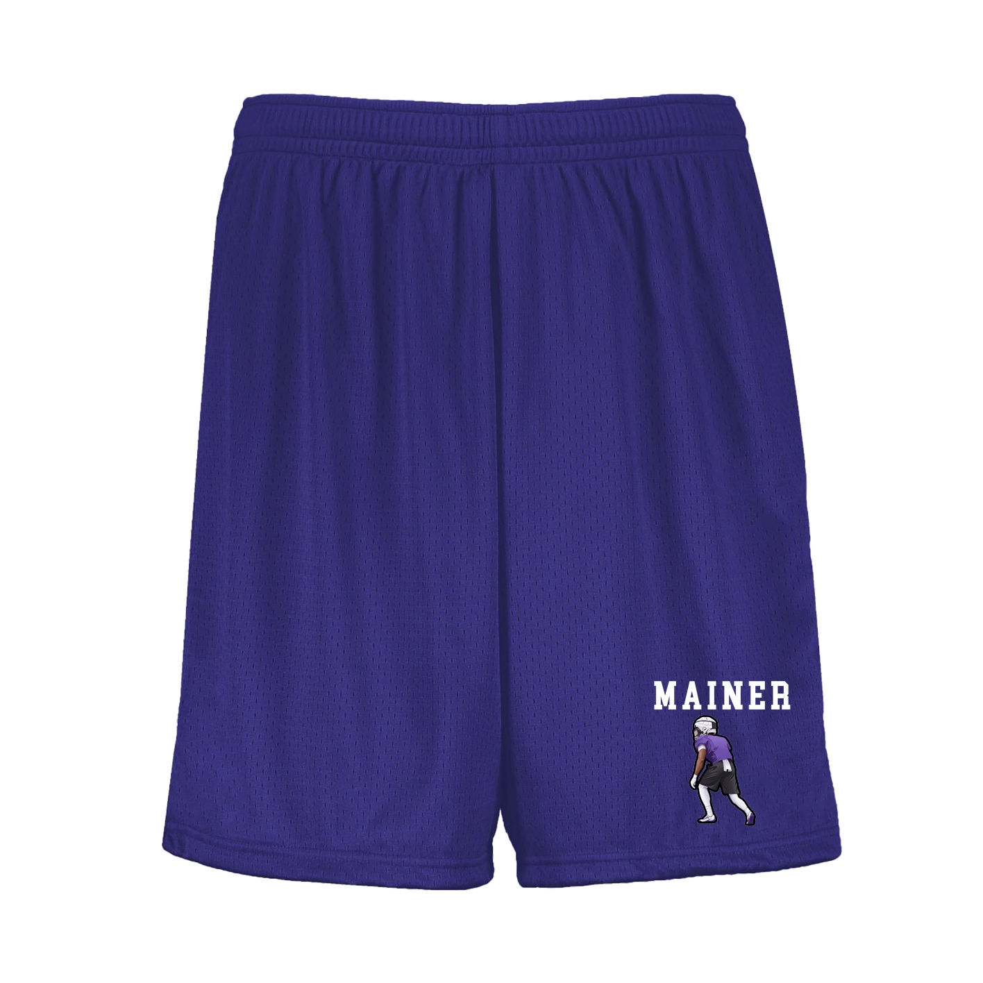 Shorts — Shirsey in Purple