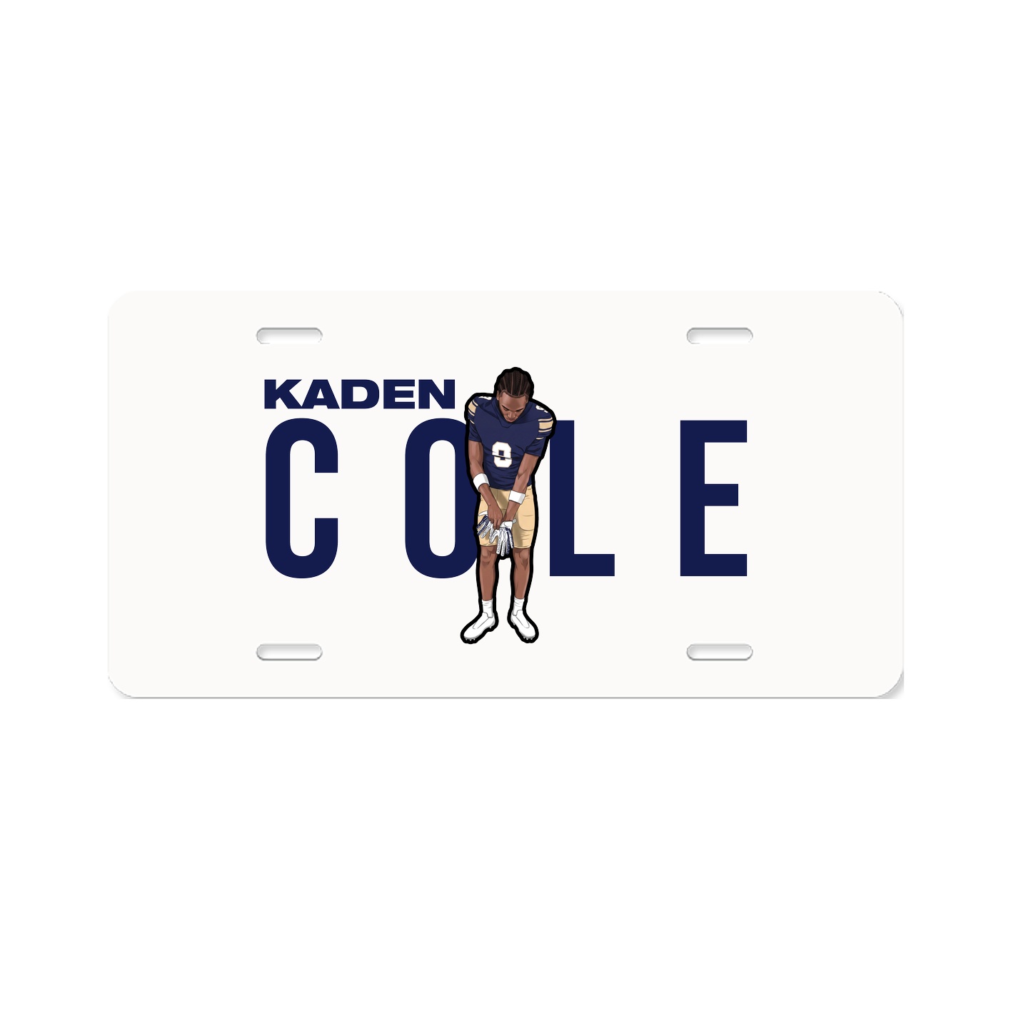 License Plate