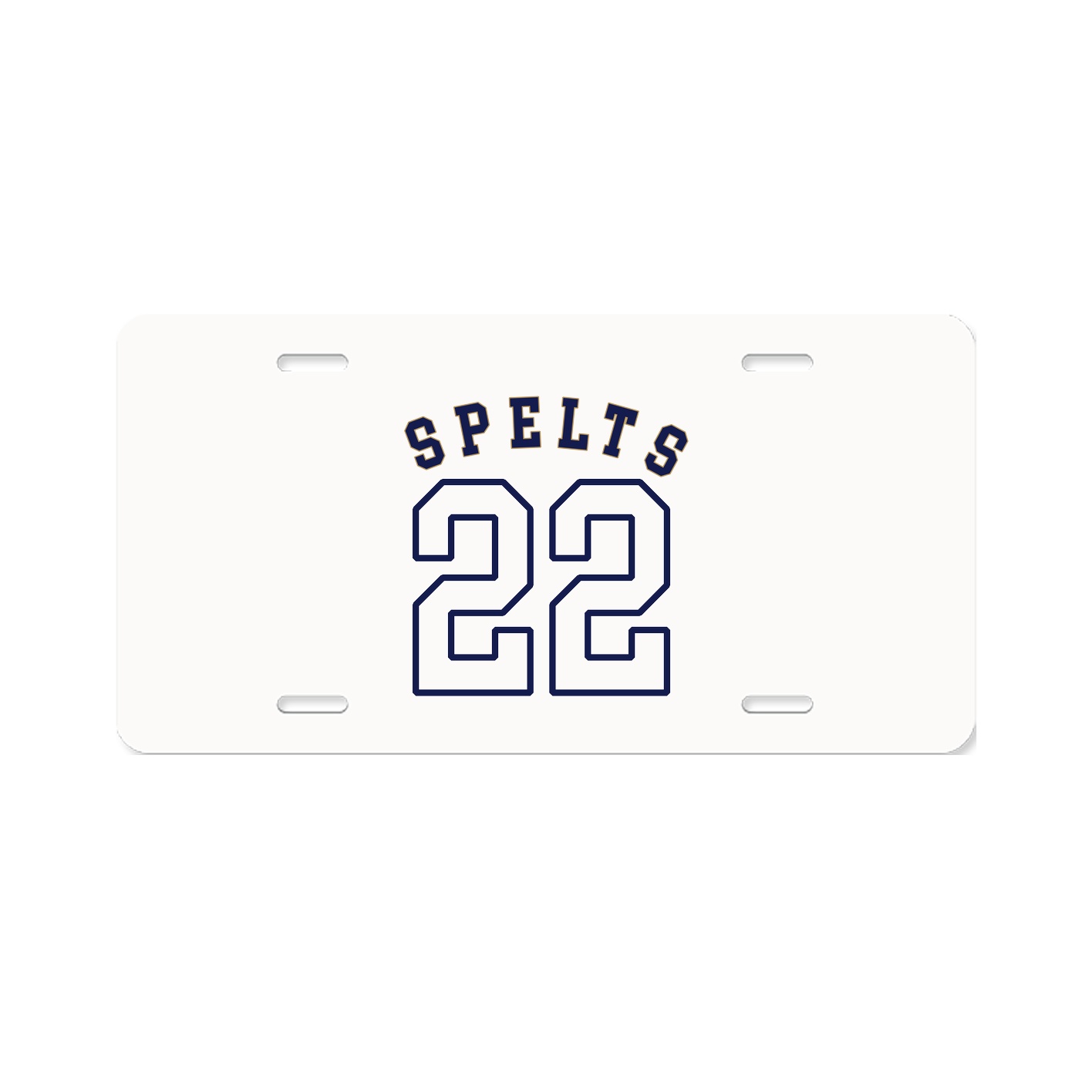 License Plate