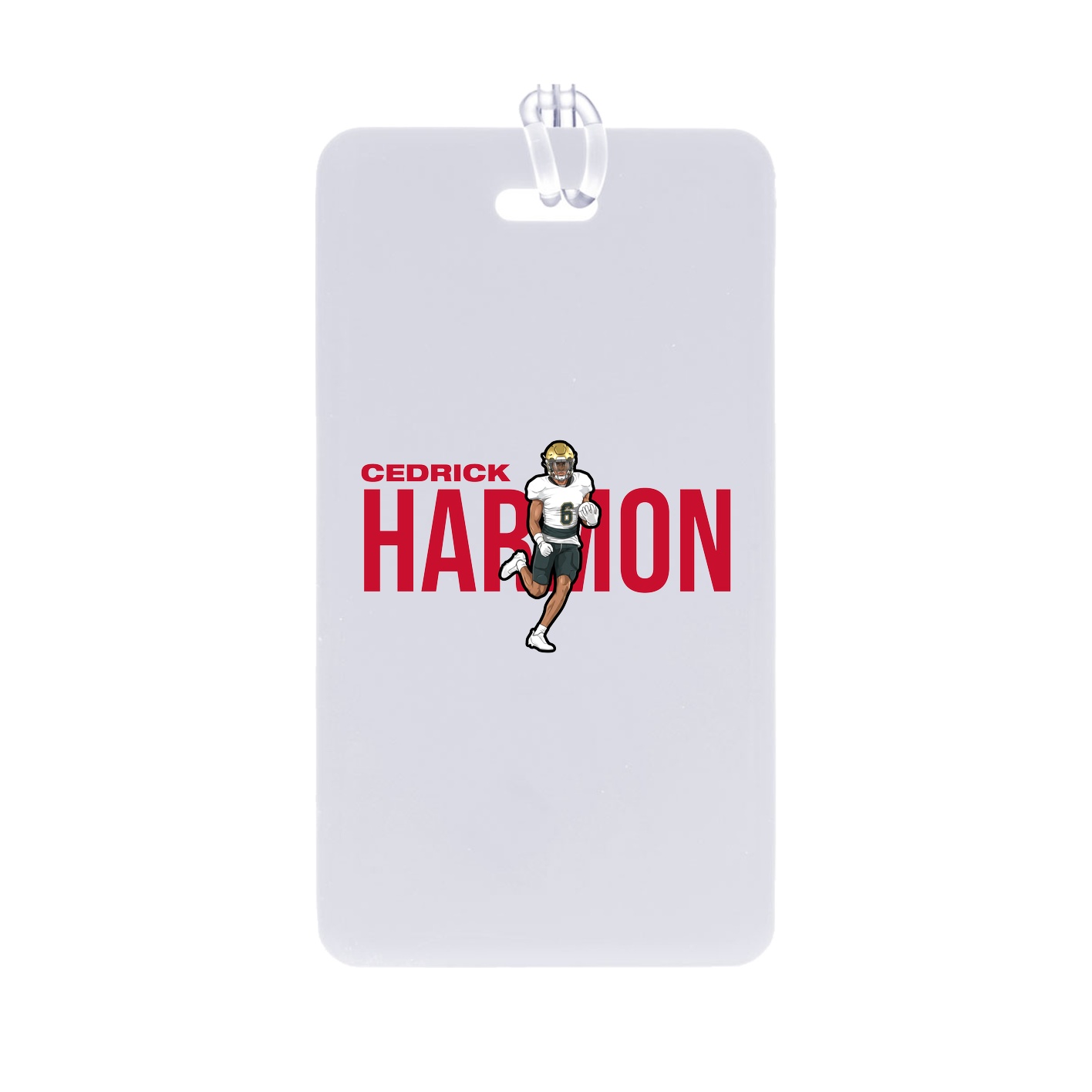 Bag Tag — Player Name in Classic