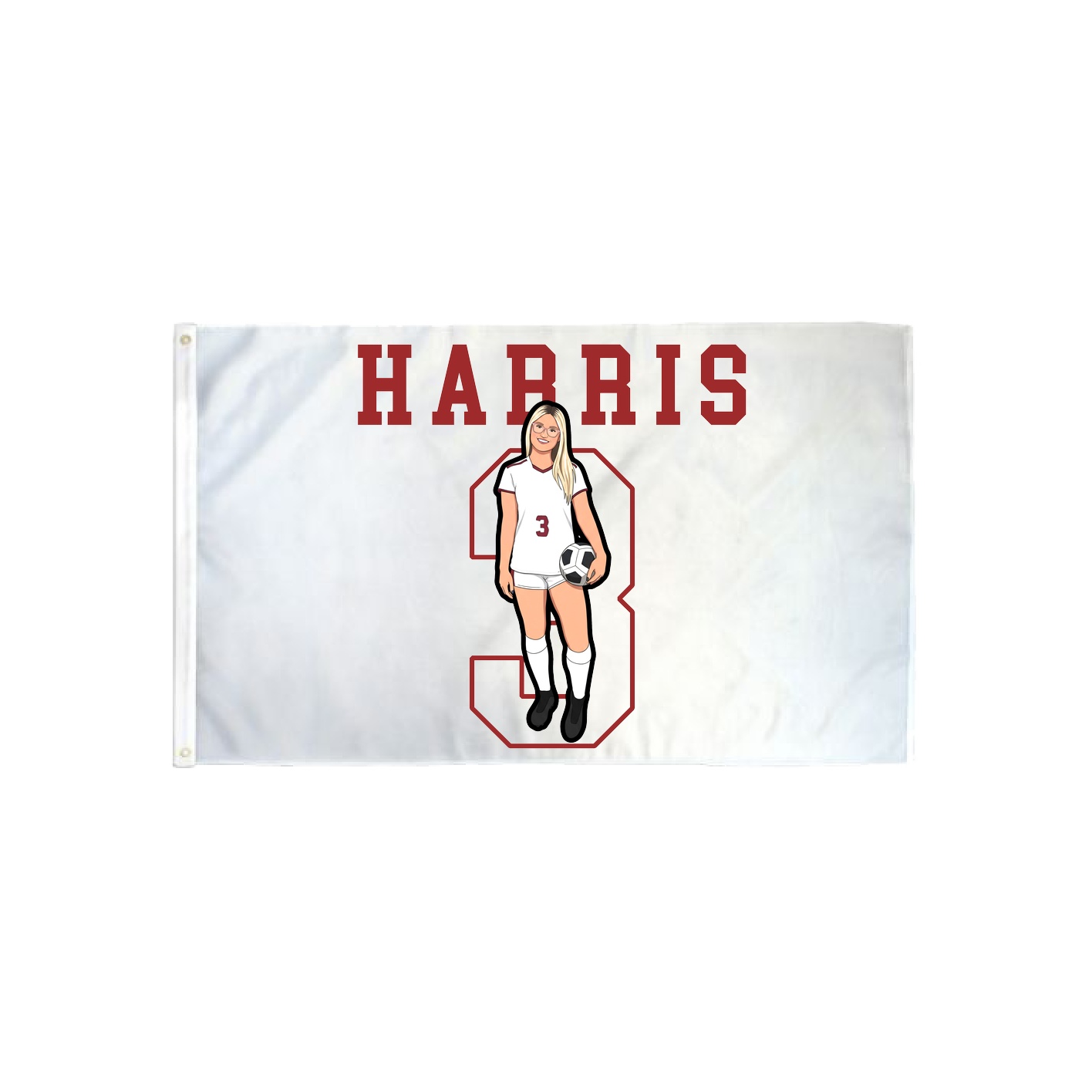 3x5 Flag — Shirsey in Classic