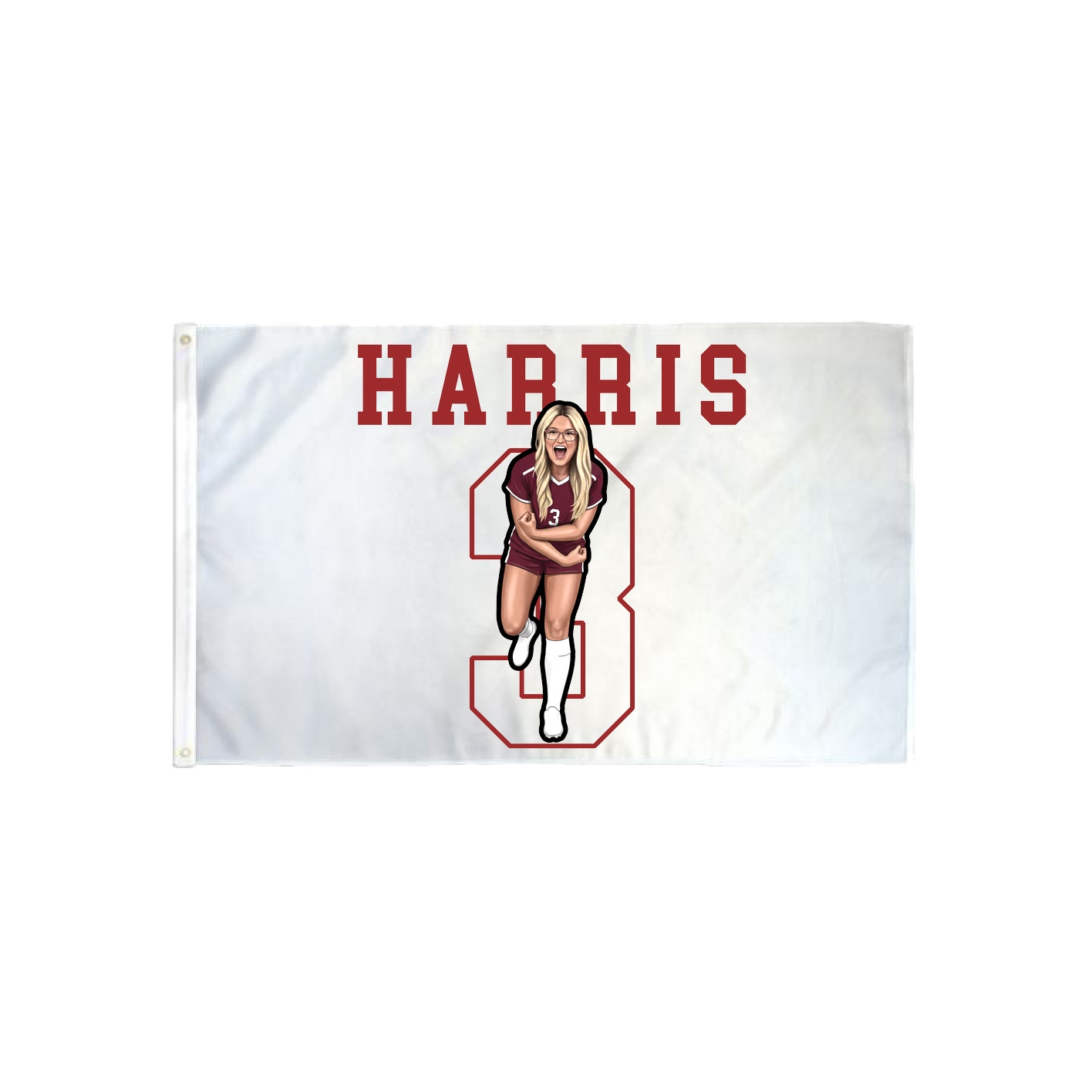 3x5 Flag — Shirsey in Classic