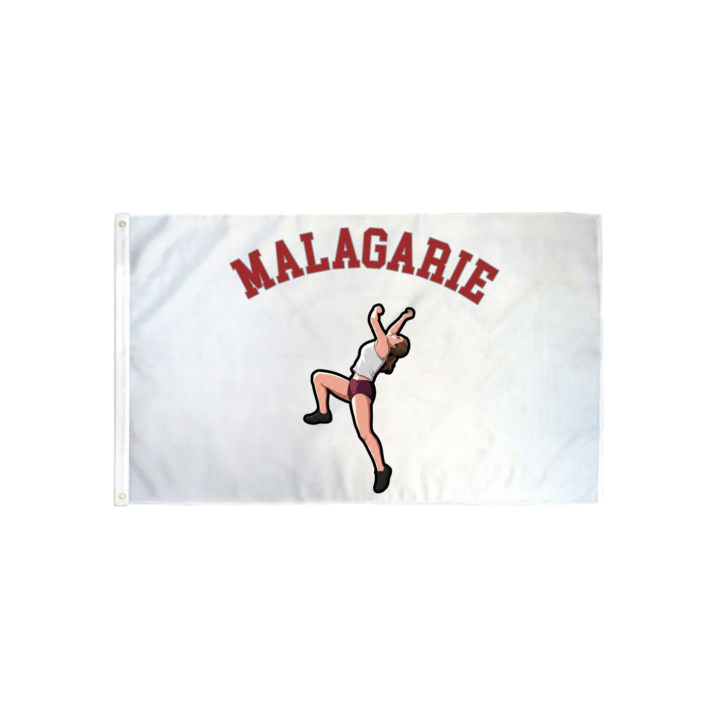 3x5 Flag — Shirsey Arch in Classic