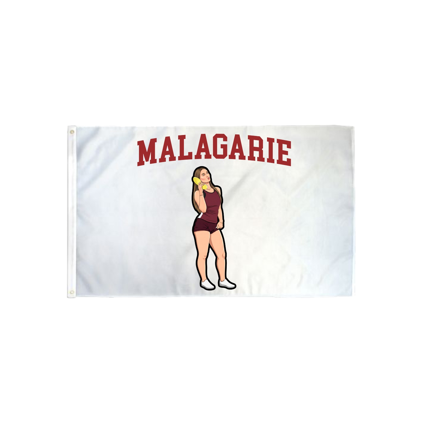 3x5 Flag — Shirsey in Classic