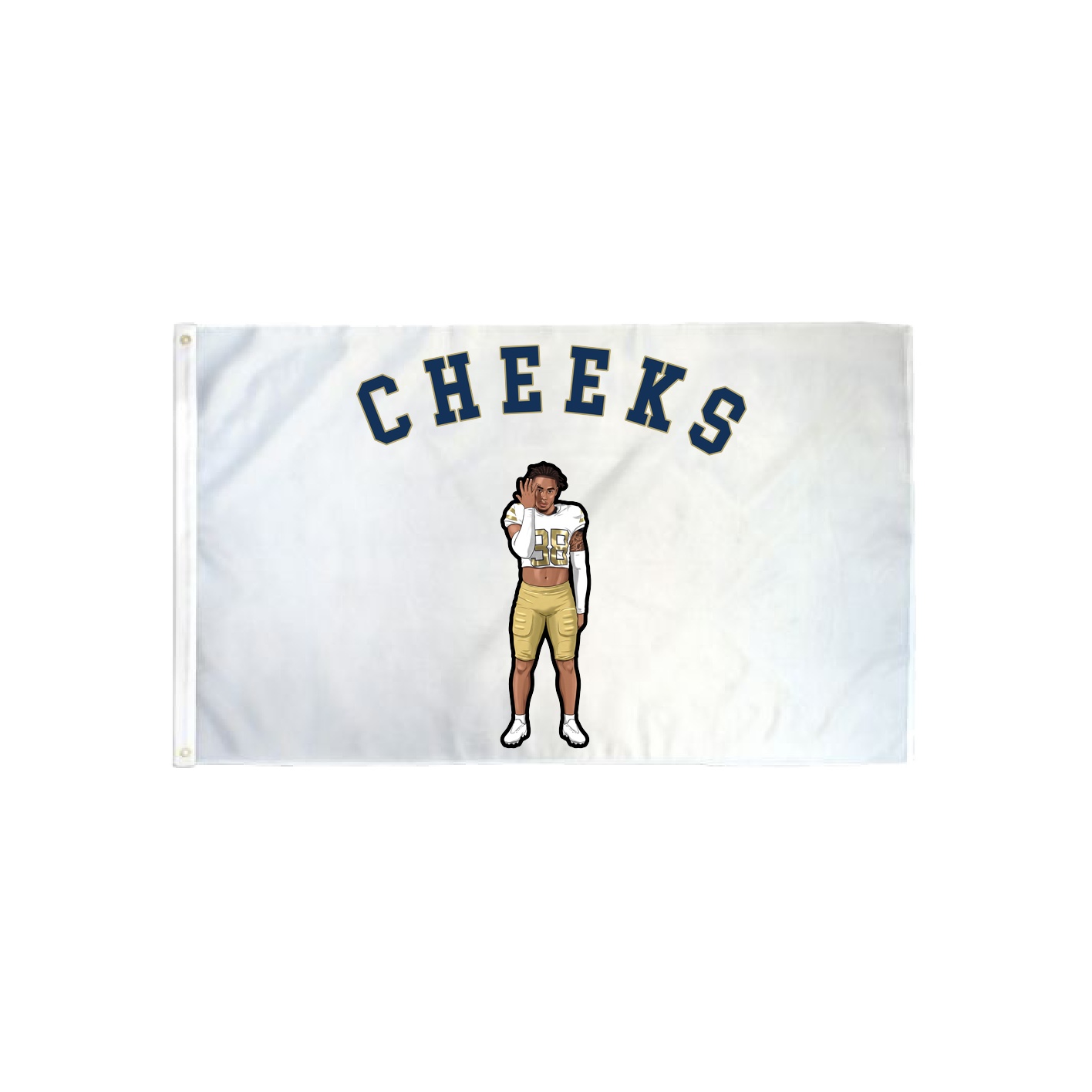 3x5 Flag — Shirsey Arch in Classic