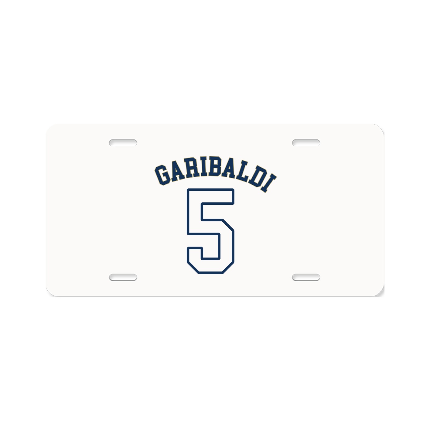 License Plate