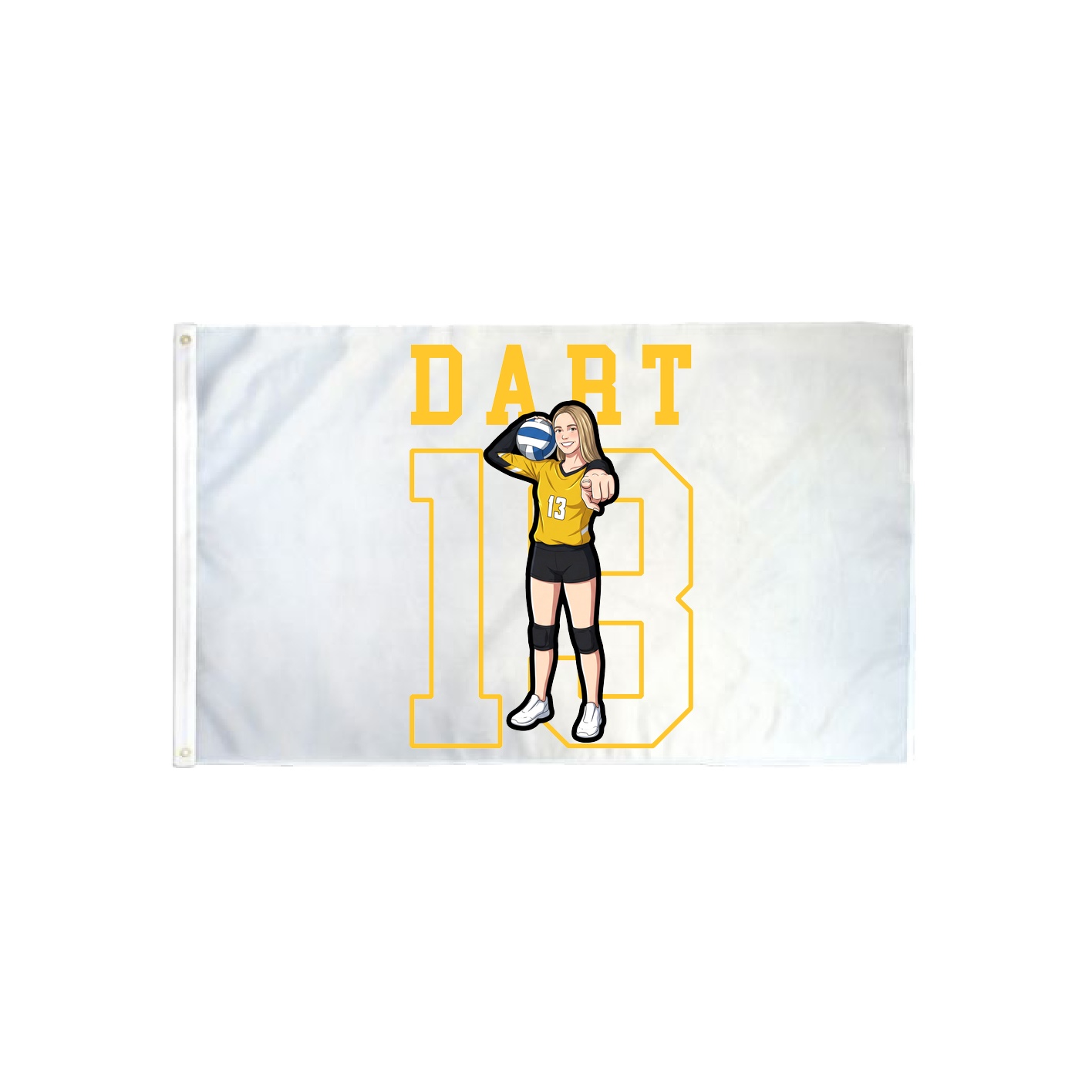 3x5 Flag — Shirsey in Classic