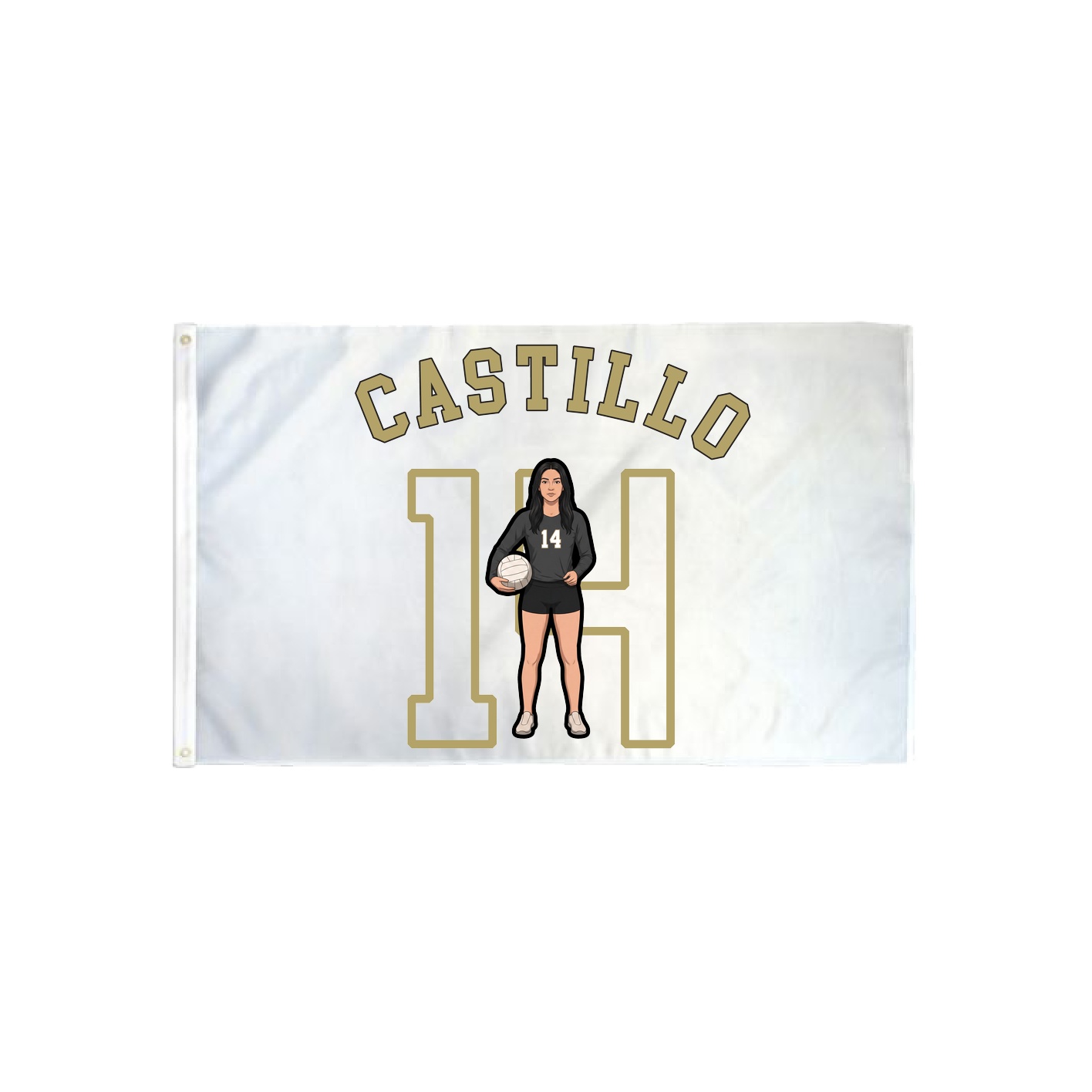 3x5 Flag — Shirsey Arch in Classic
