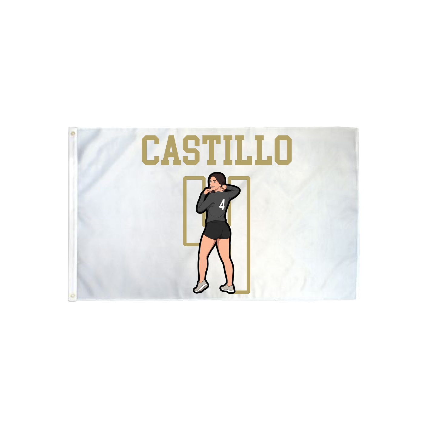3x5 Flag — Shirsey in Classic