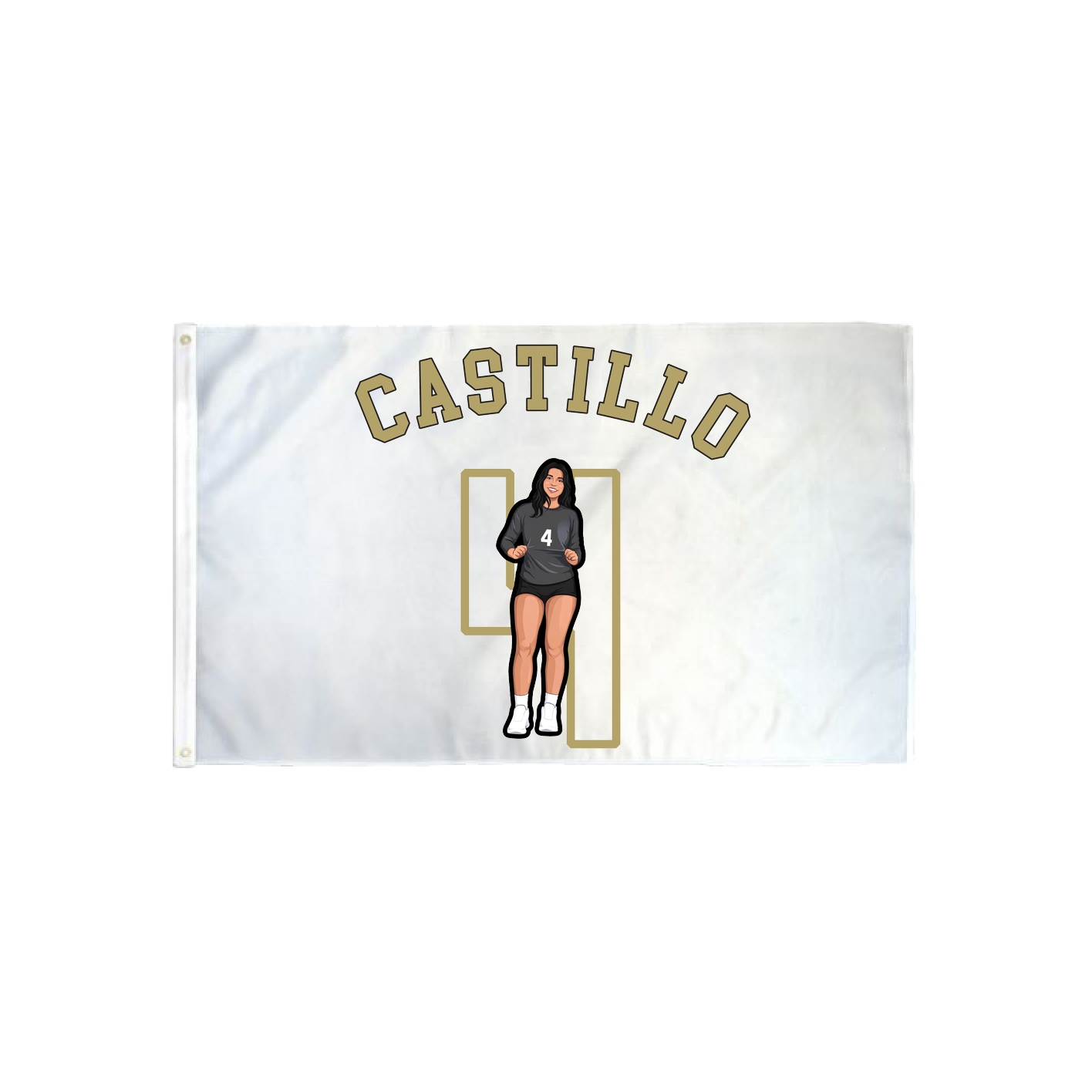 3x5 Flag — Shirsey Arch in Classic