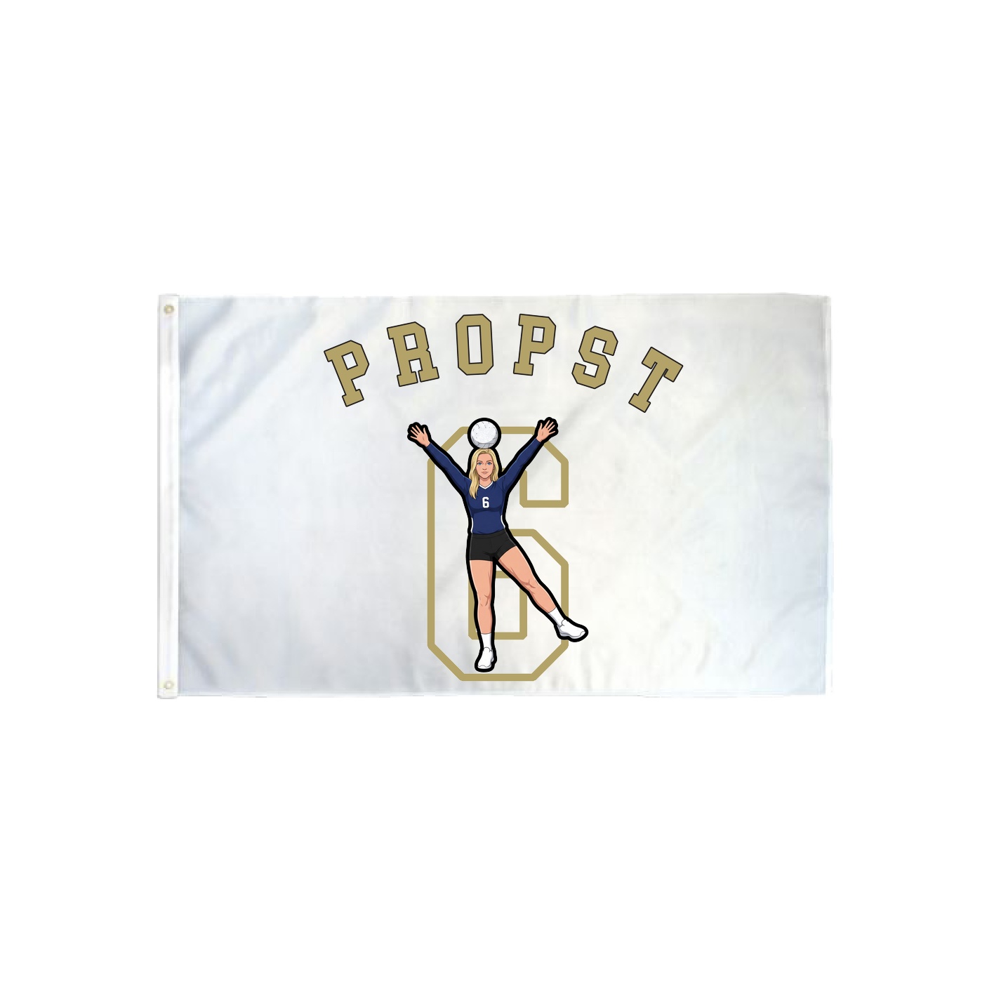 3x5 Flag — Shirsey Arch in Classic