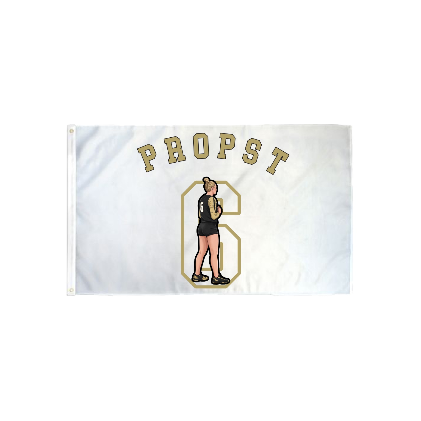 3x5 Flag — Shirsey Arch in Classic