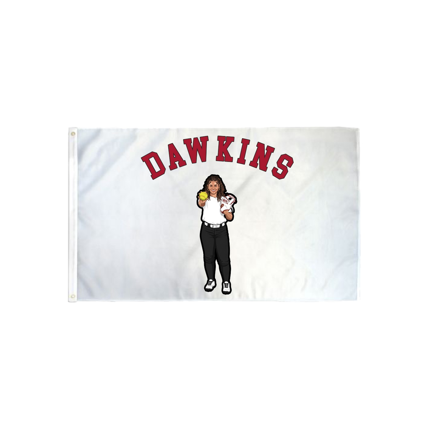 3x5 Flag — Shirsey Arch in Classic