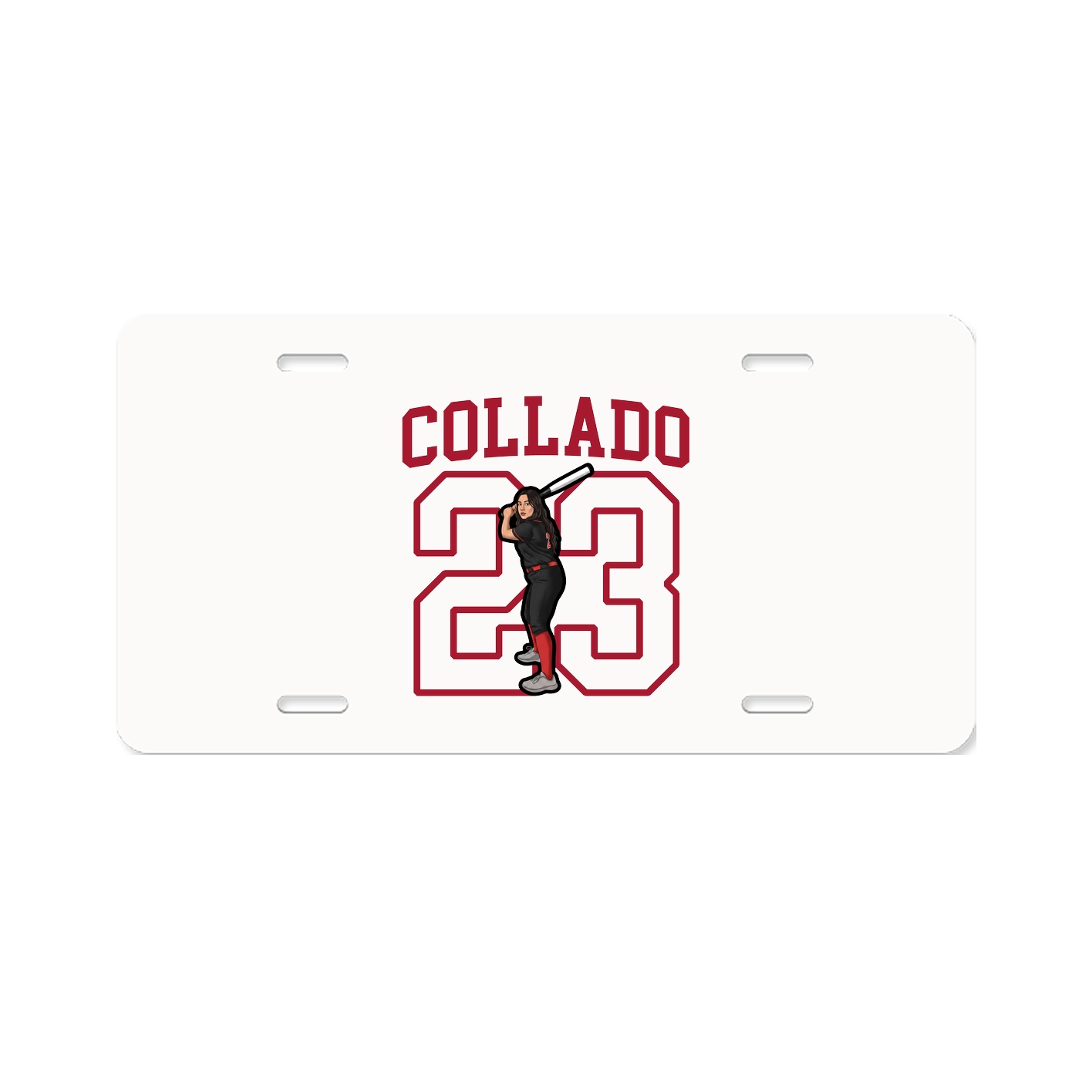 Aluminum License Plate