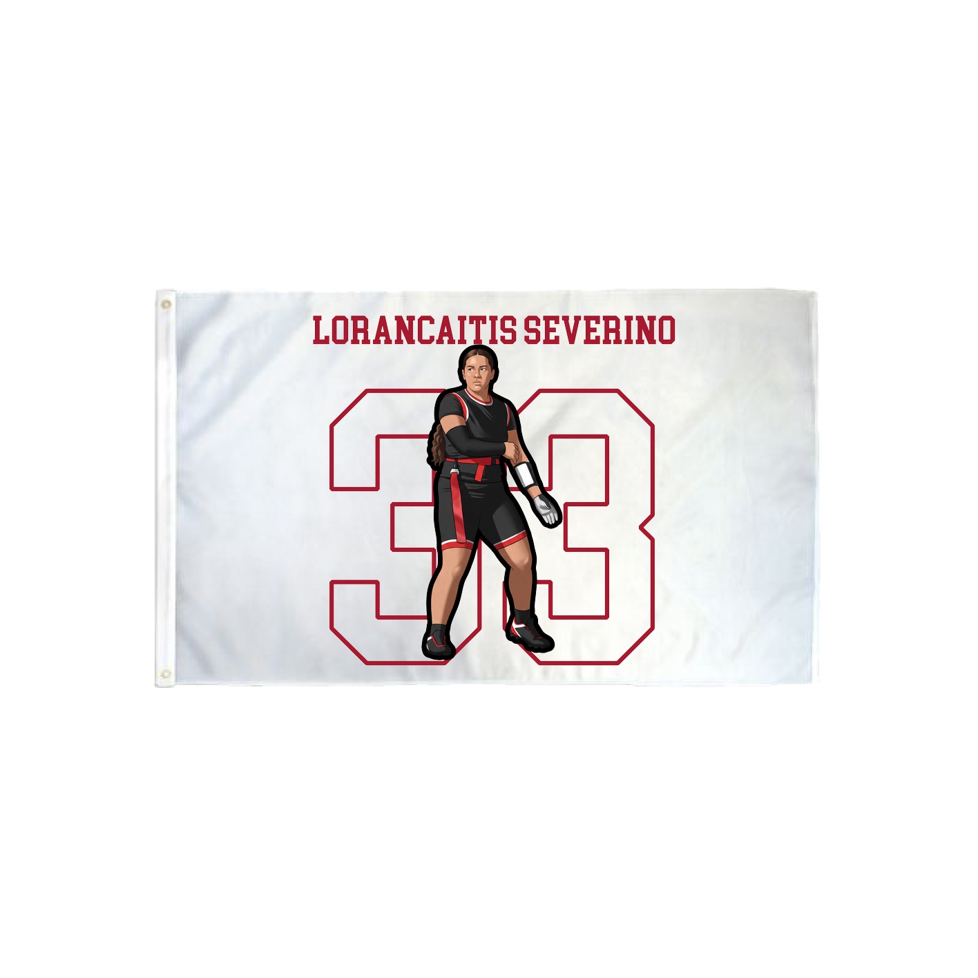 3x5 Flag — Shirsey in Classic