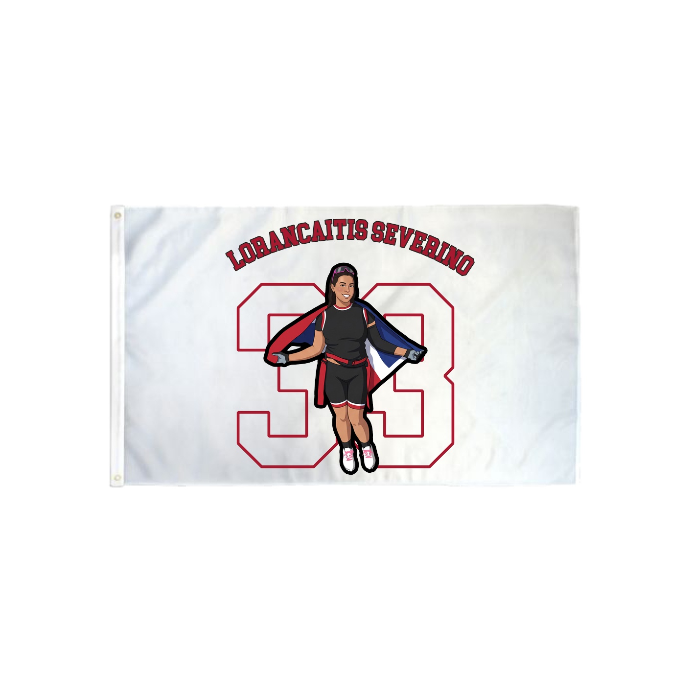 3x5 Flag — Shirsey Arch in Classic