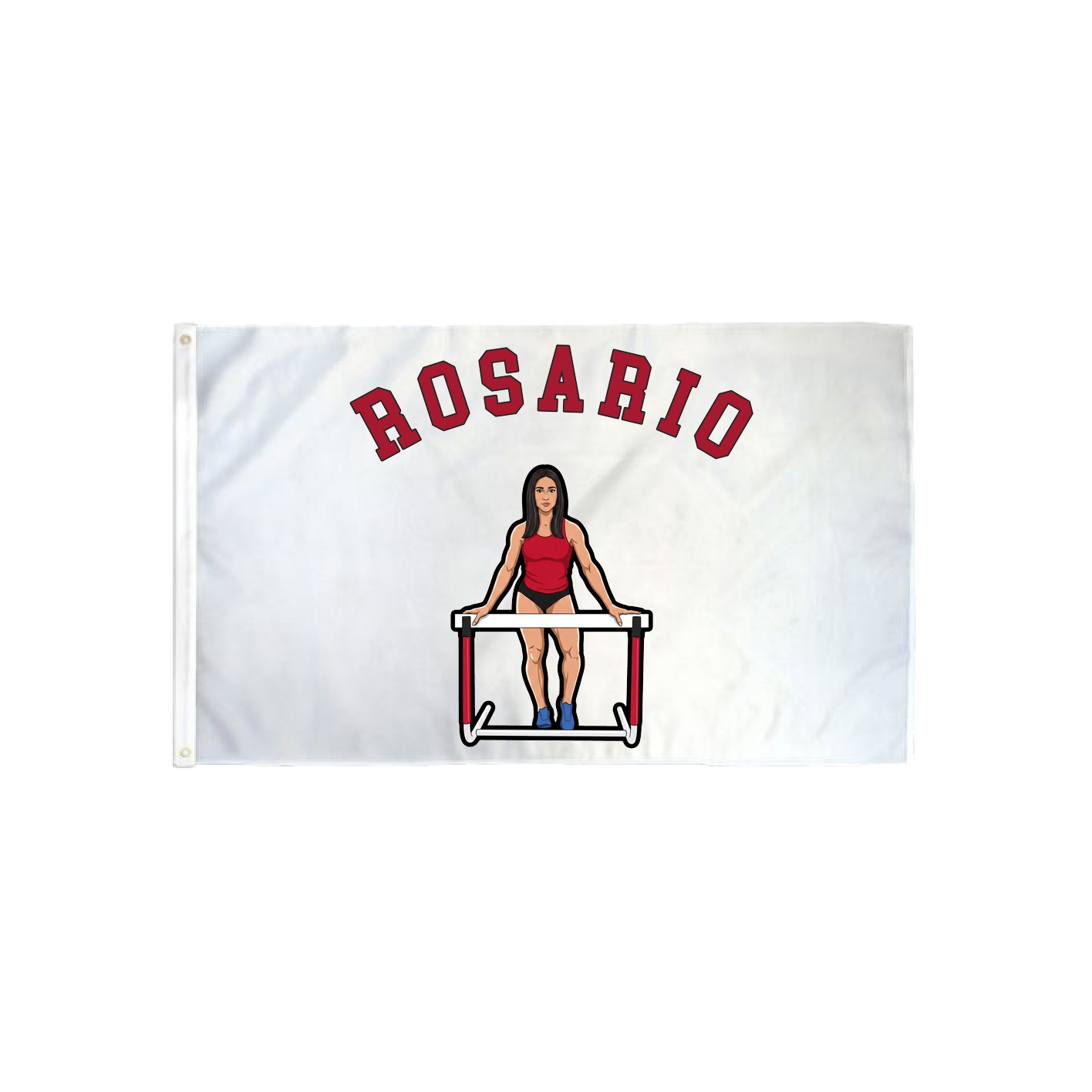 3x5 Flag — Shirsey Arch in Classic