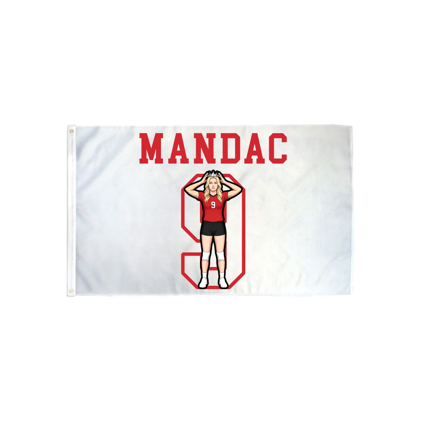 3x5 Flag — Shirsey in Classic