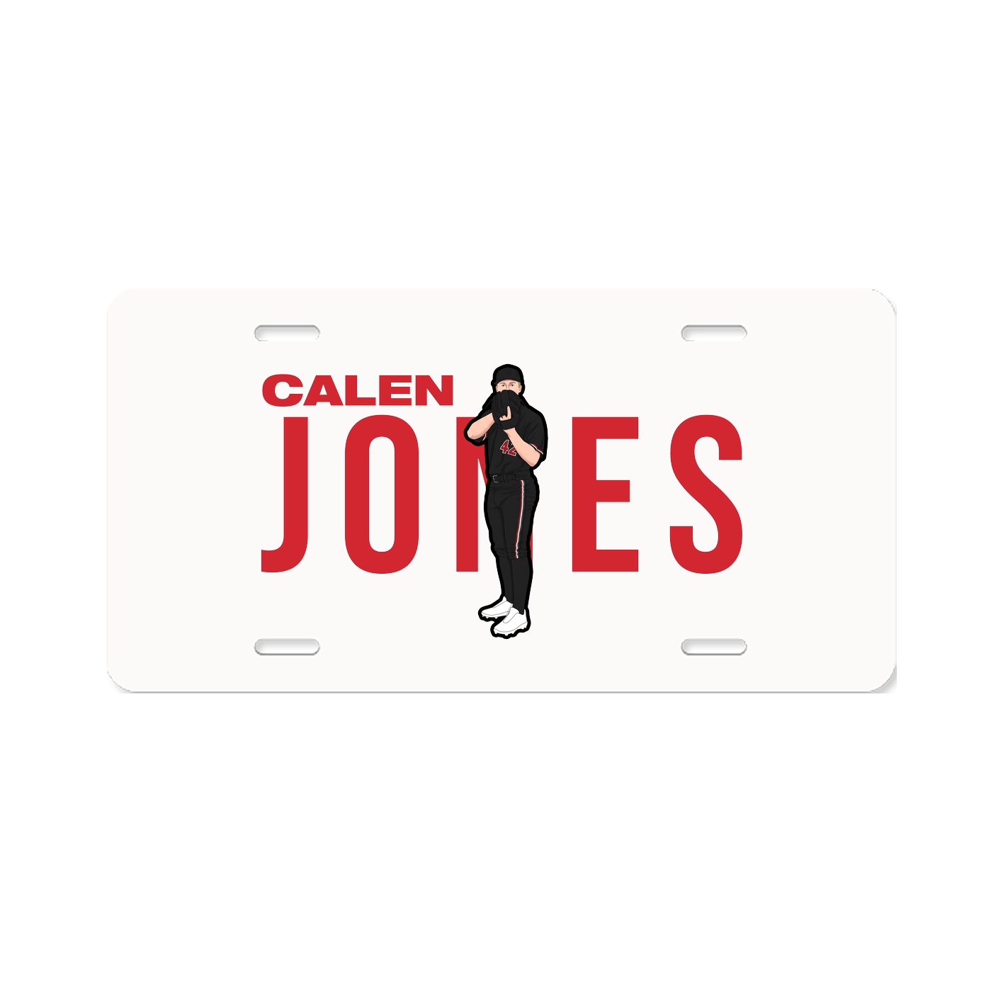 License Plate