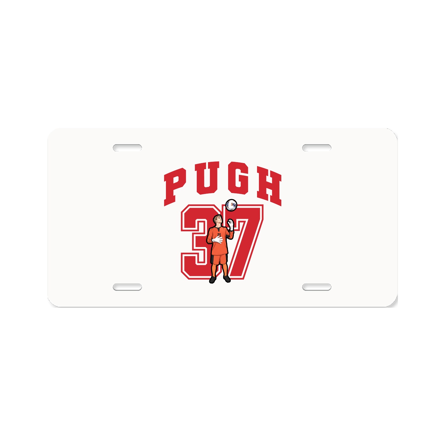 License Plate — Number in Classic