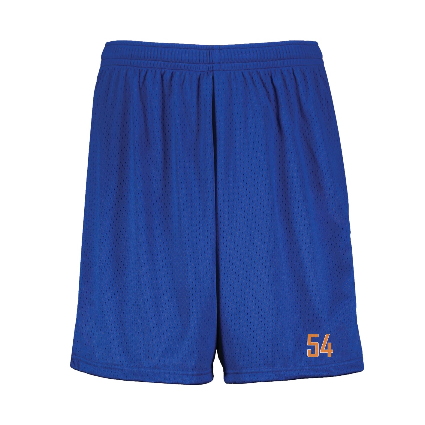 Shorts — Front Shirsy in Royal