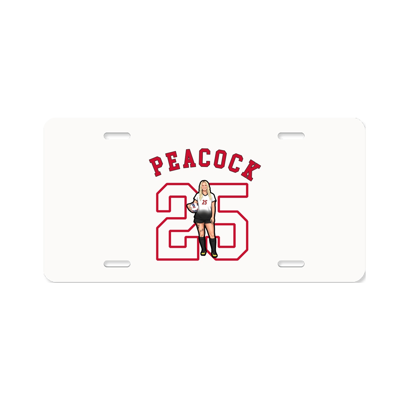 License Plate — Shirsey Arch in Classic