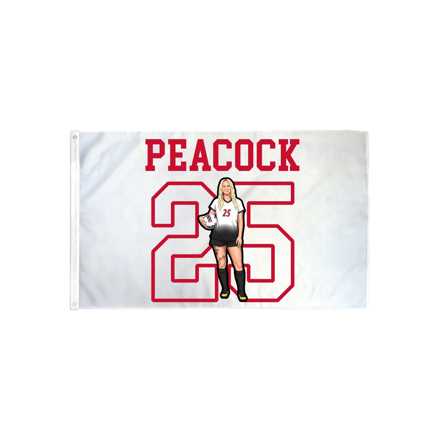 3x5 Flag — Shirsey in Classic
