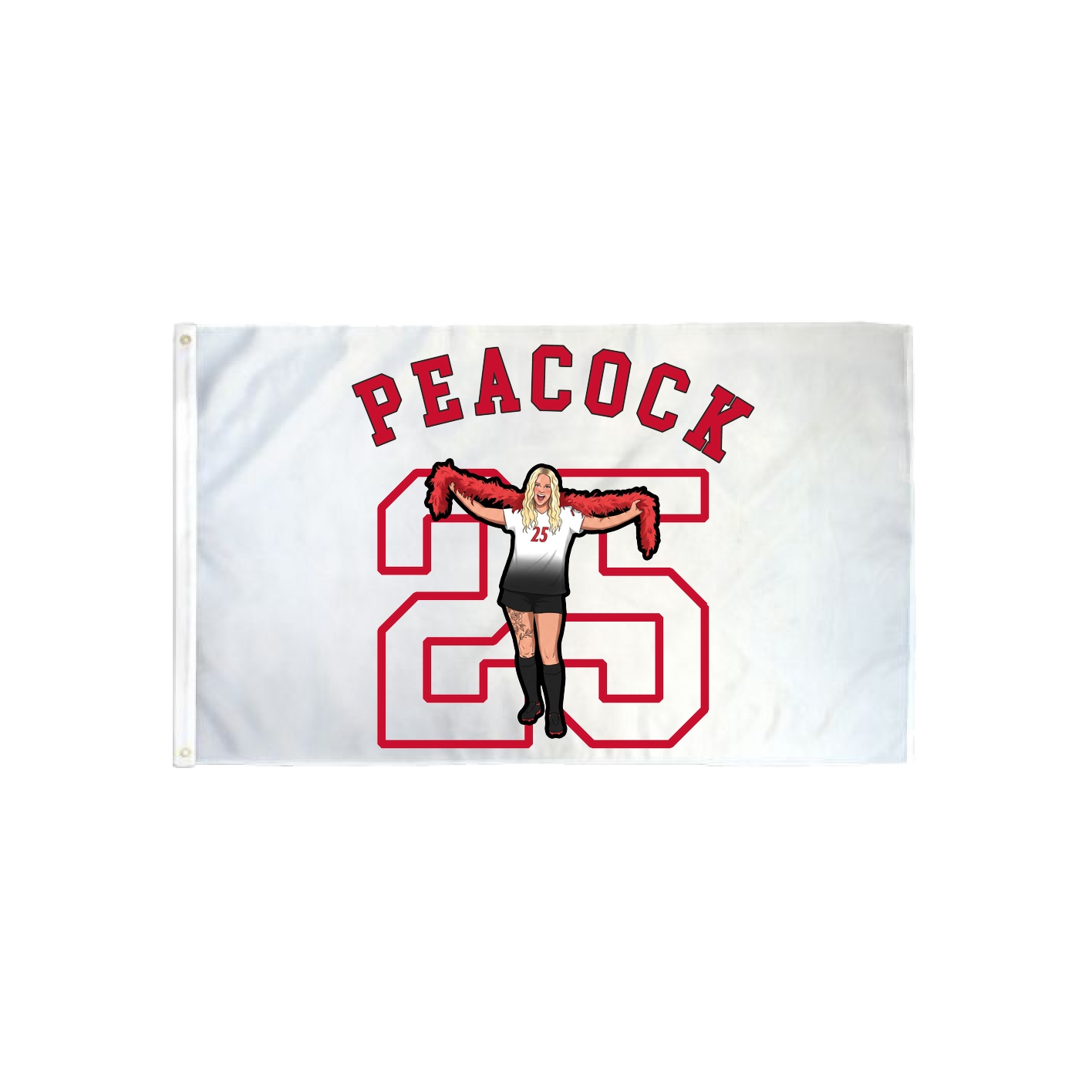 3x5 Flag — Shirsey Arch in Classic
