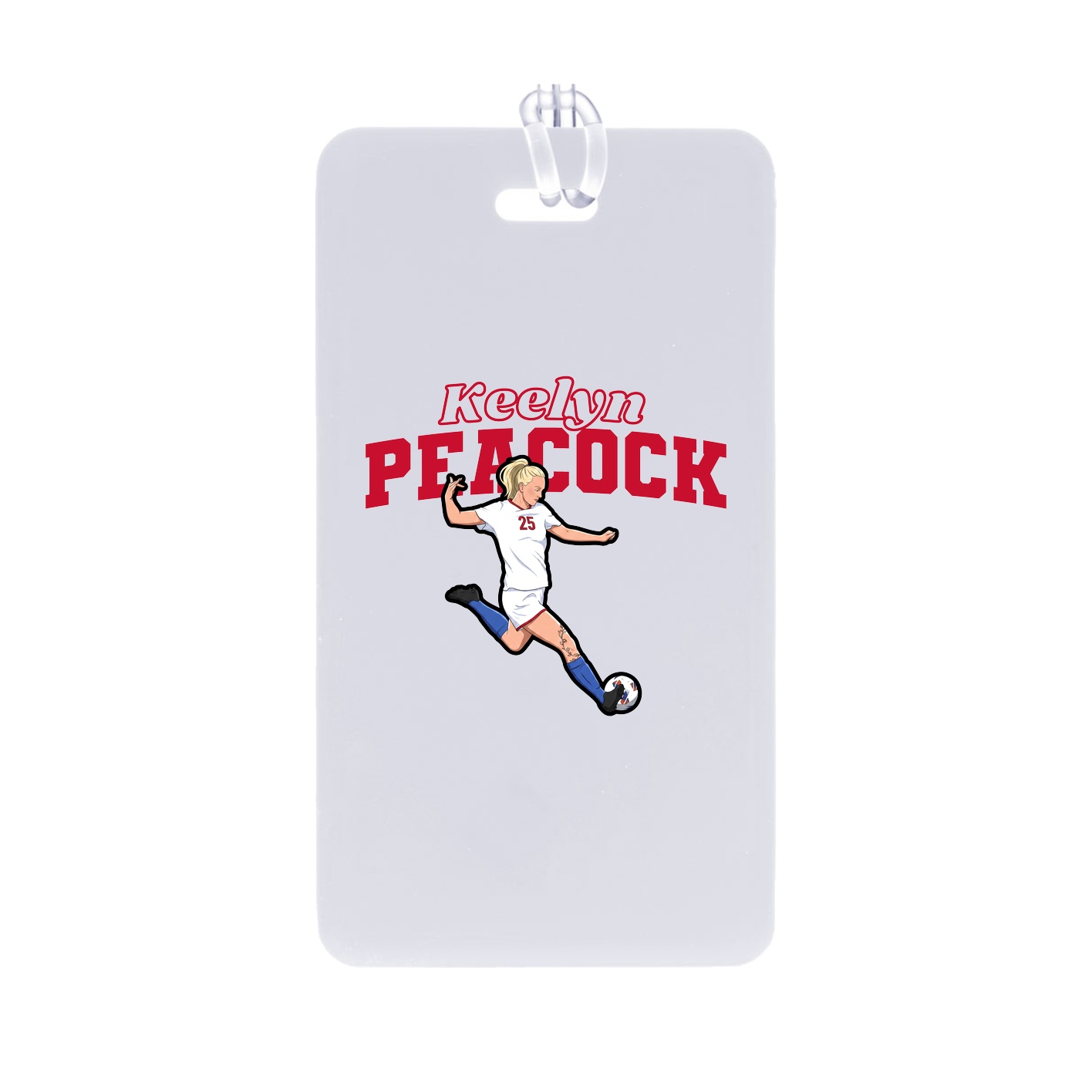 Bag Tag — Name Arch in Classic