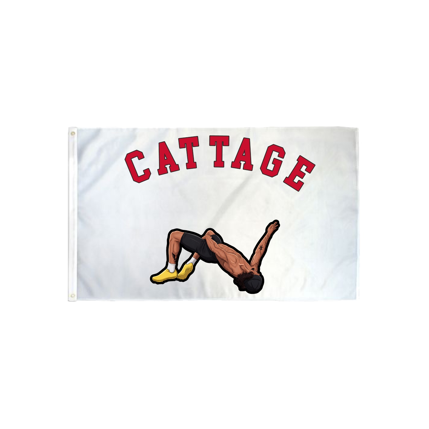 3x5 Flag — Shirsey Arch in Classic