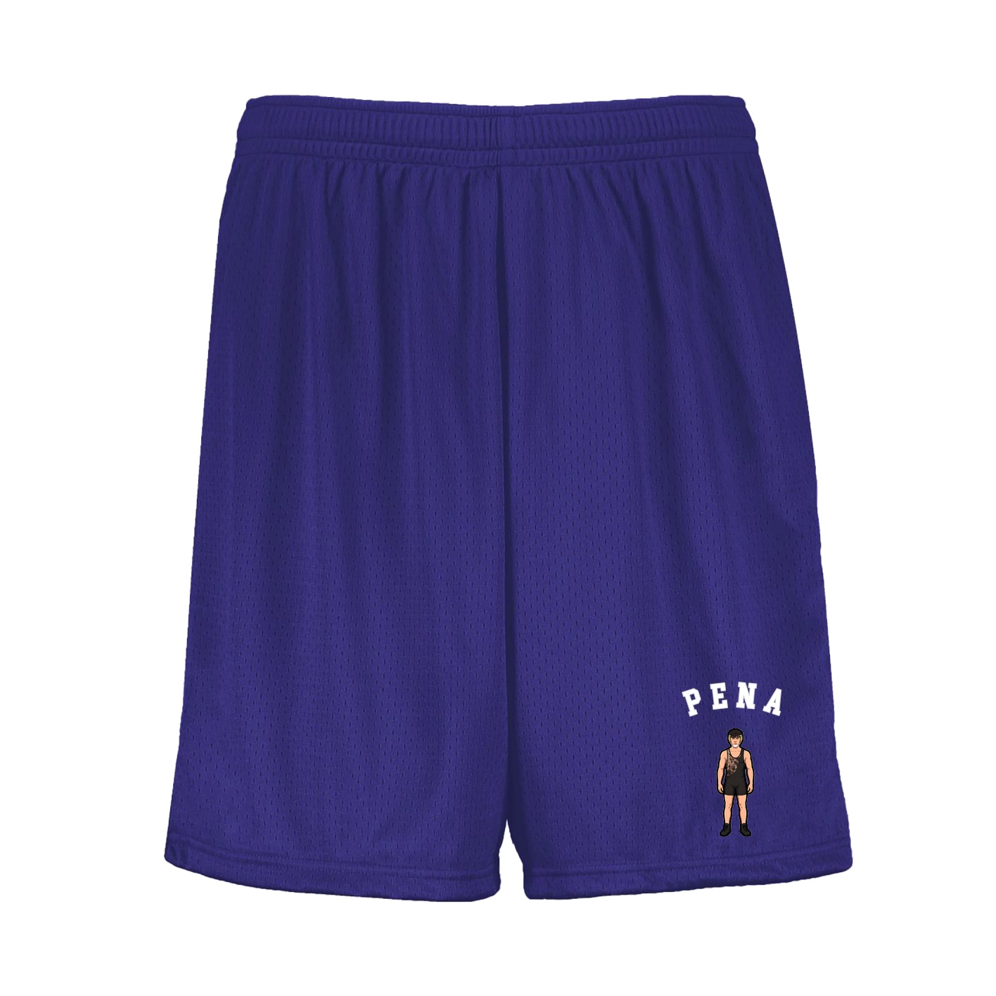 Shorts — Shirsey Arch in Purple
