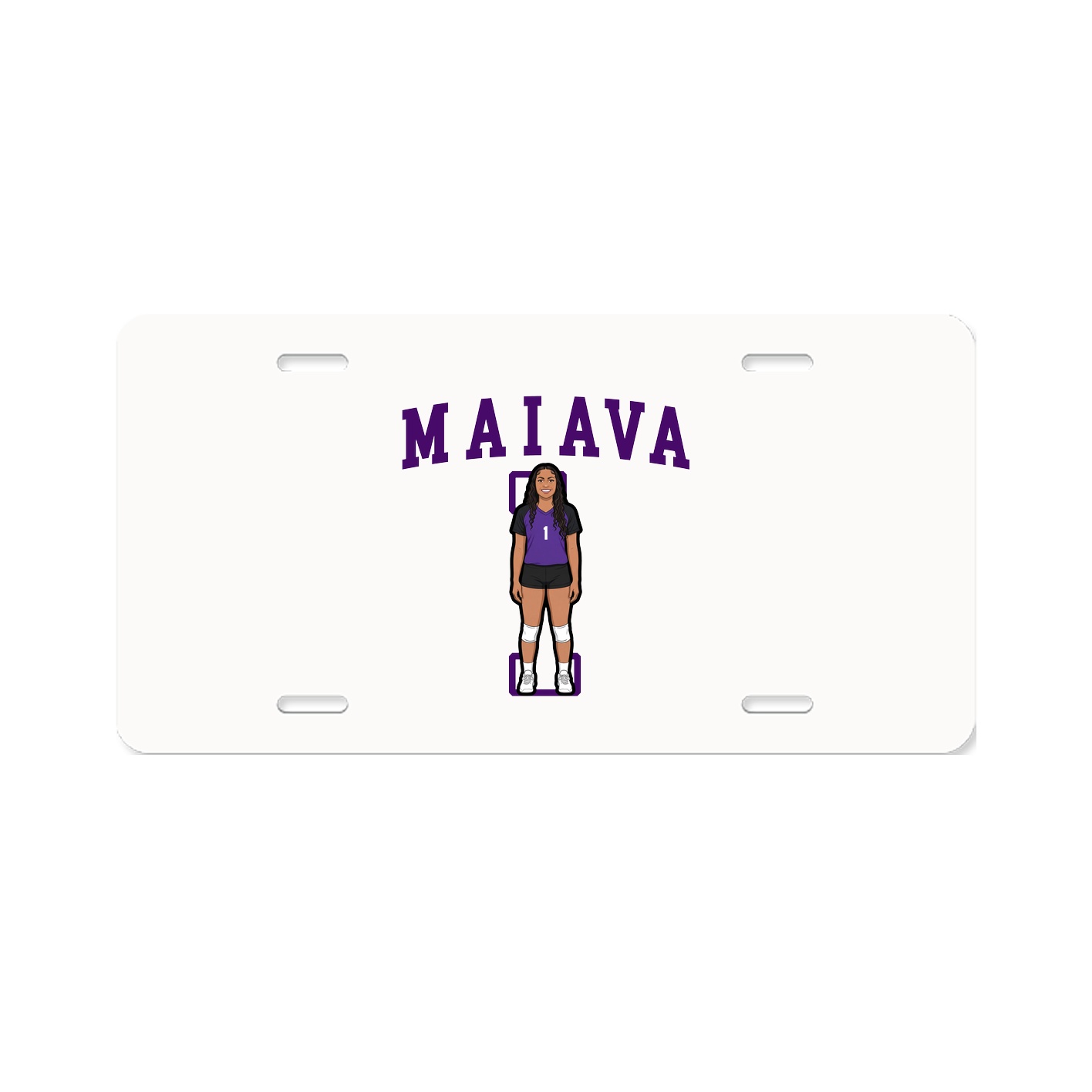 Aluminum License Plate