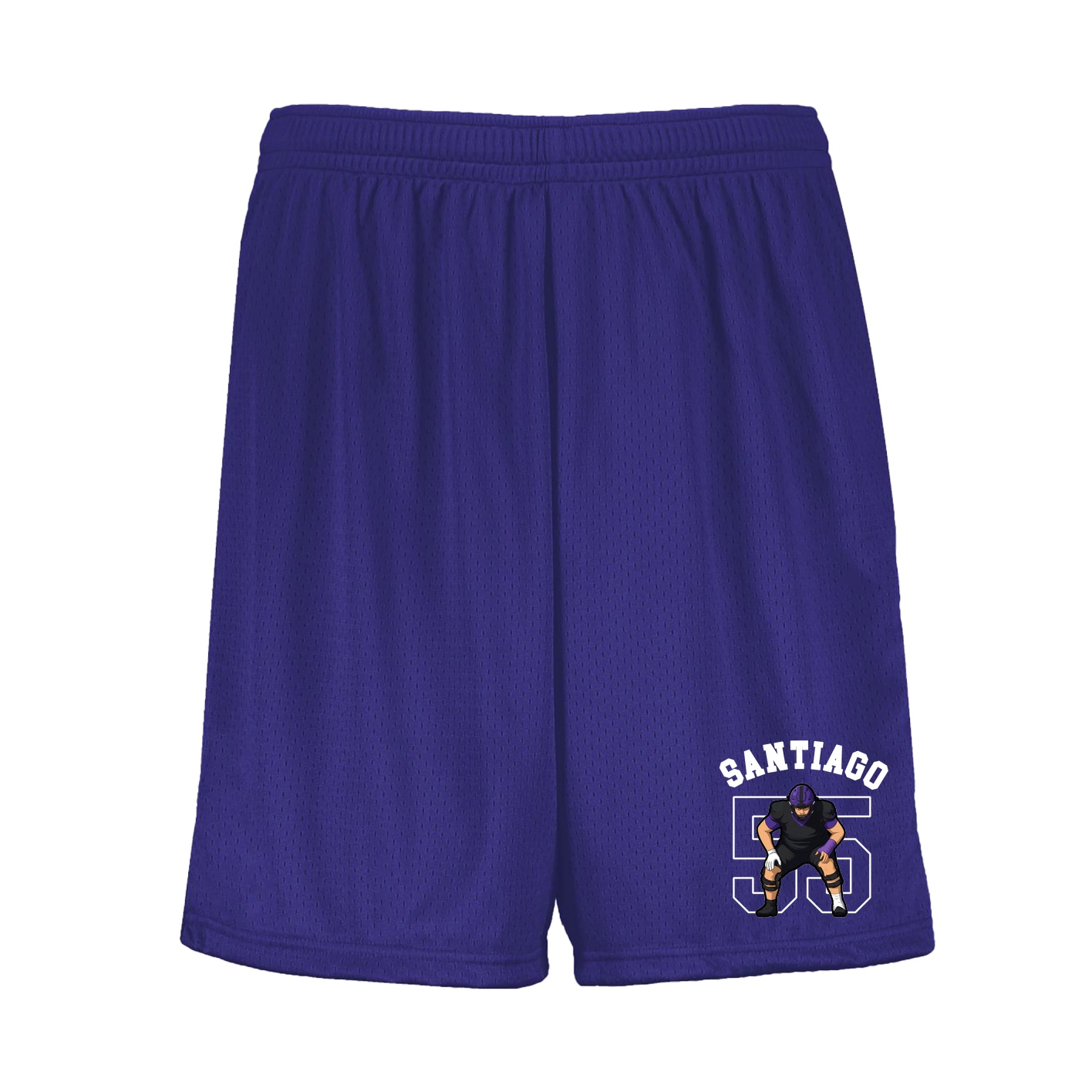Shorts — Shirsey Arch in Purple
