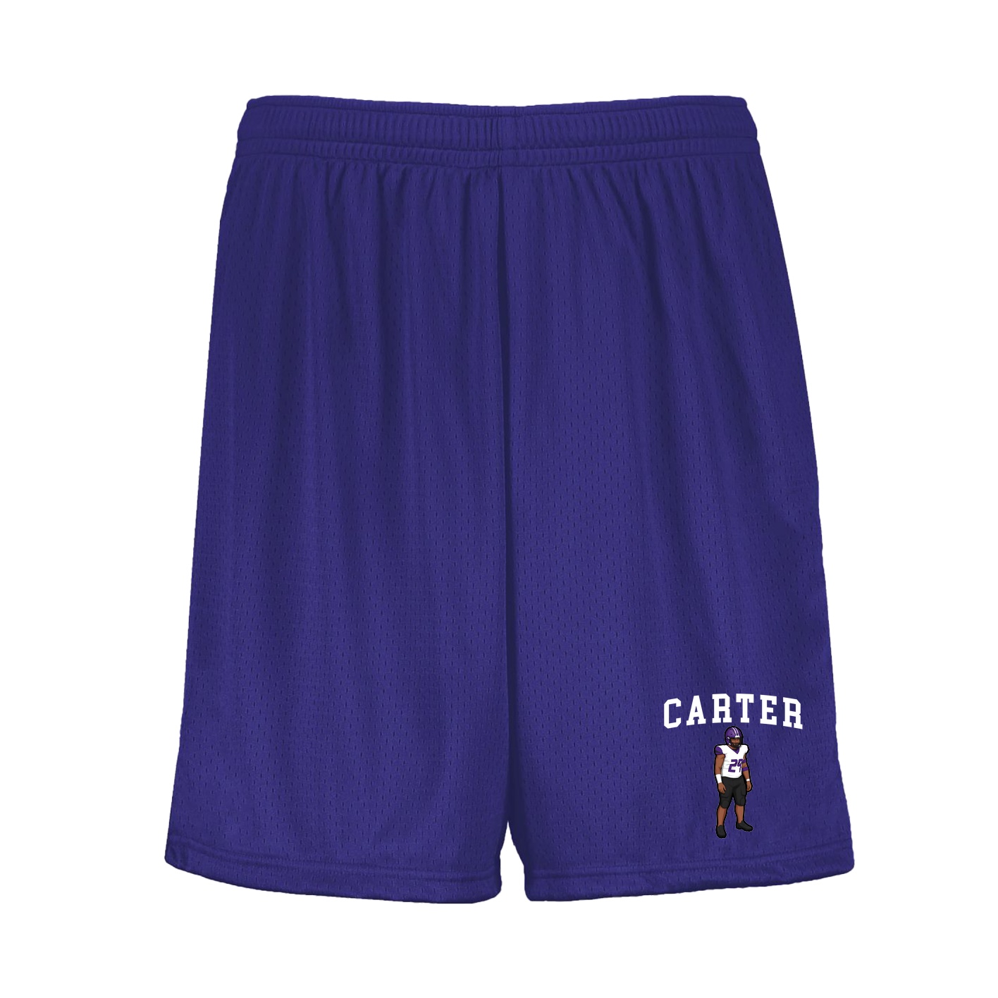 Shorts — Shirsey in Purple