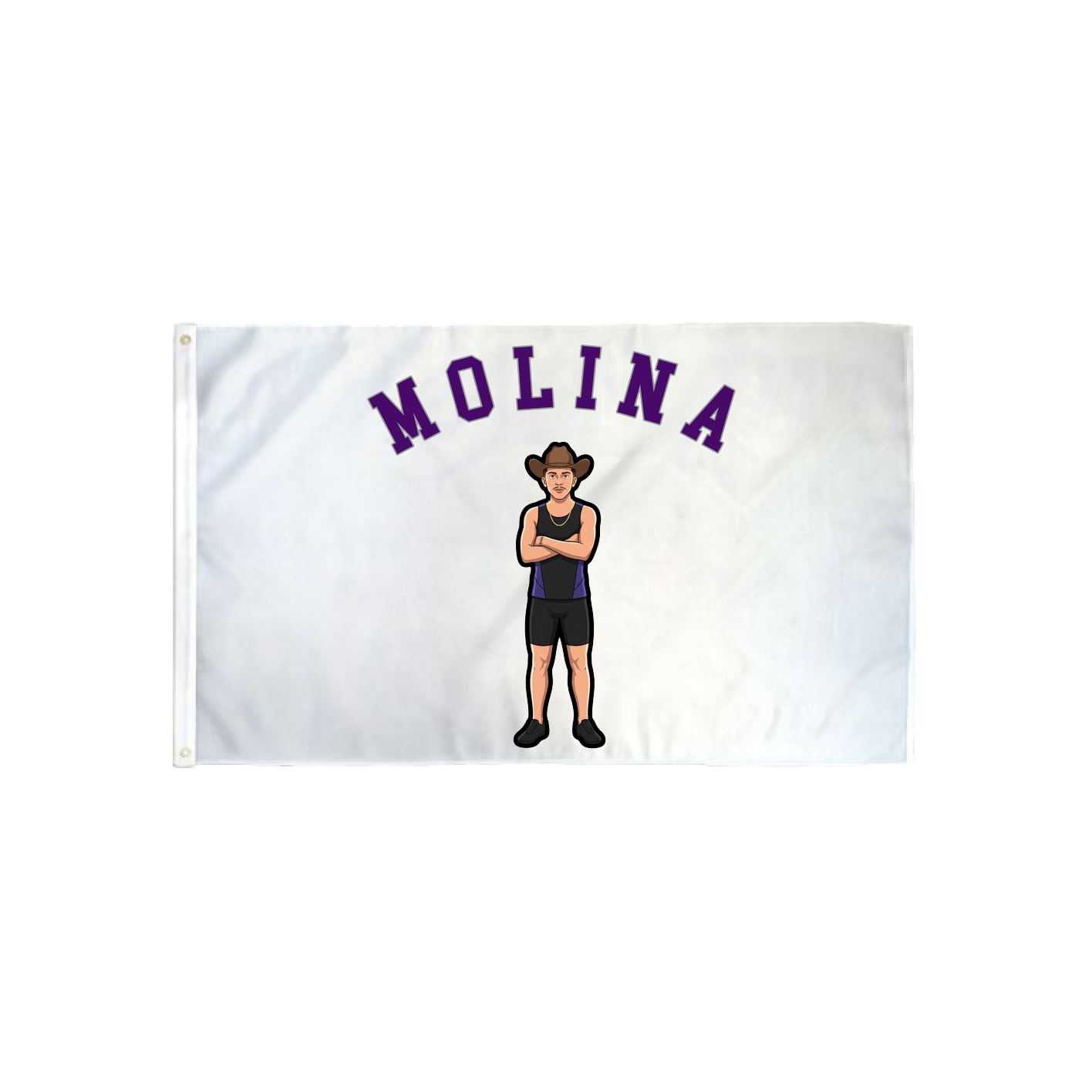 3x5 Flag — Shirsey Arch in Classic