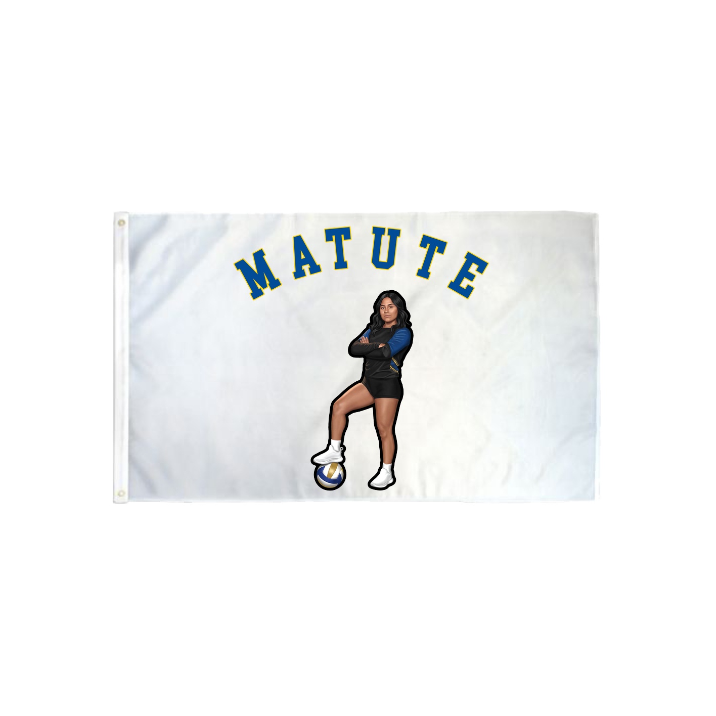 3x5 Flag — Shirsey Arch in Classic