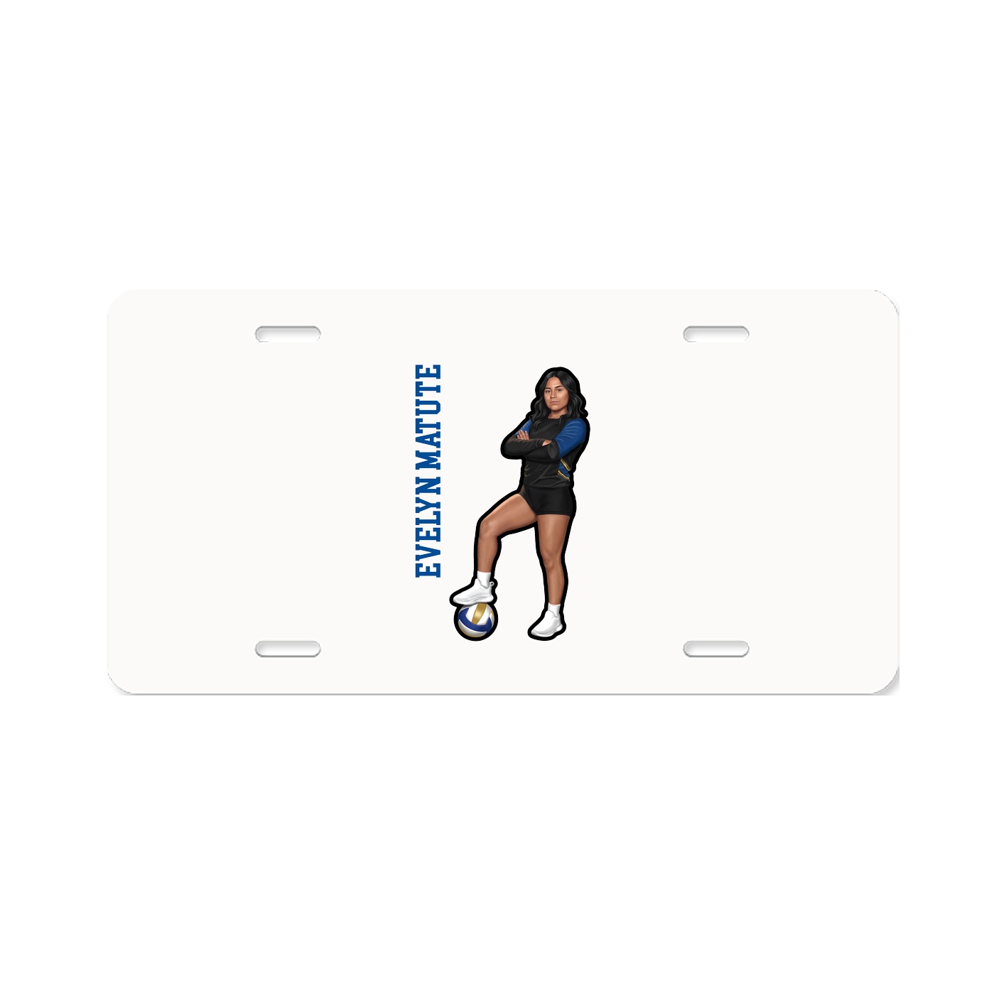 License Plate