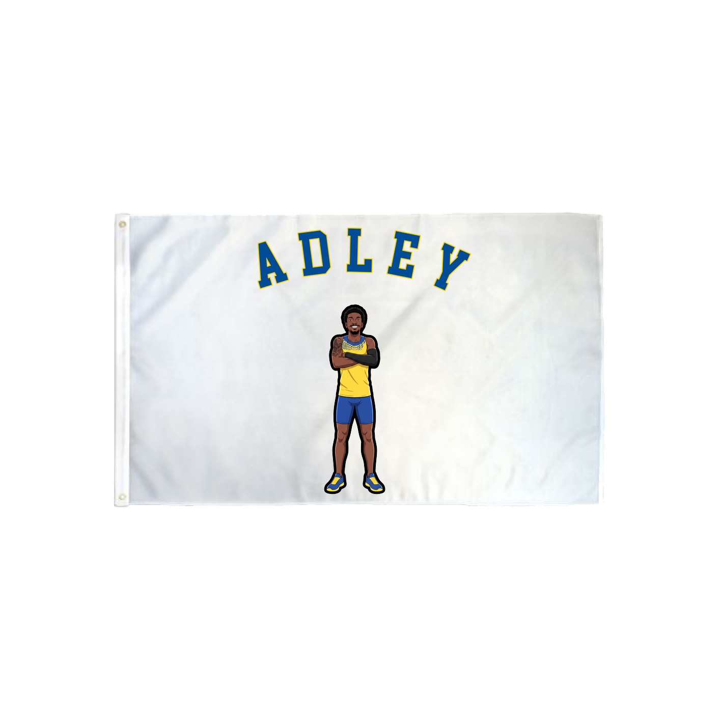 3x5 Flag — Shirsey Arch in Classic