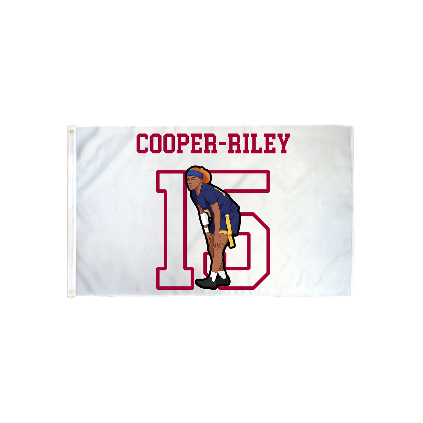 3x5 Flag — Shirsey in Classic