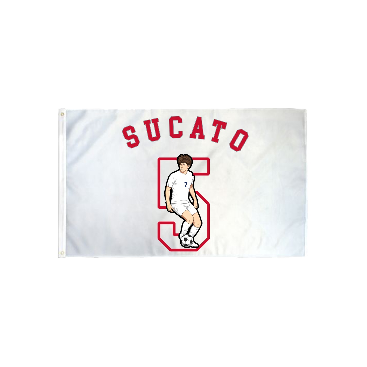 3x5 Flag — Shirsey Arch in Classic