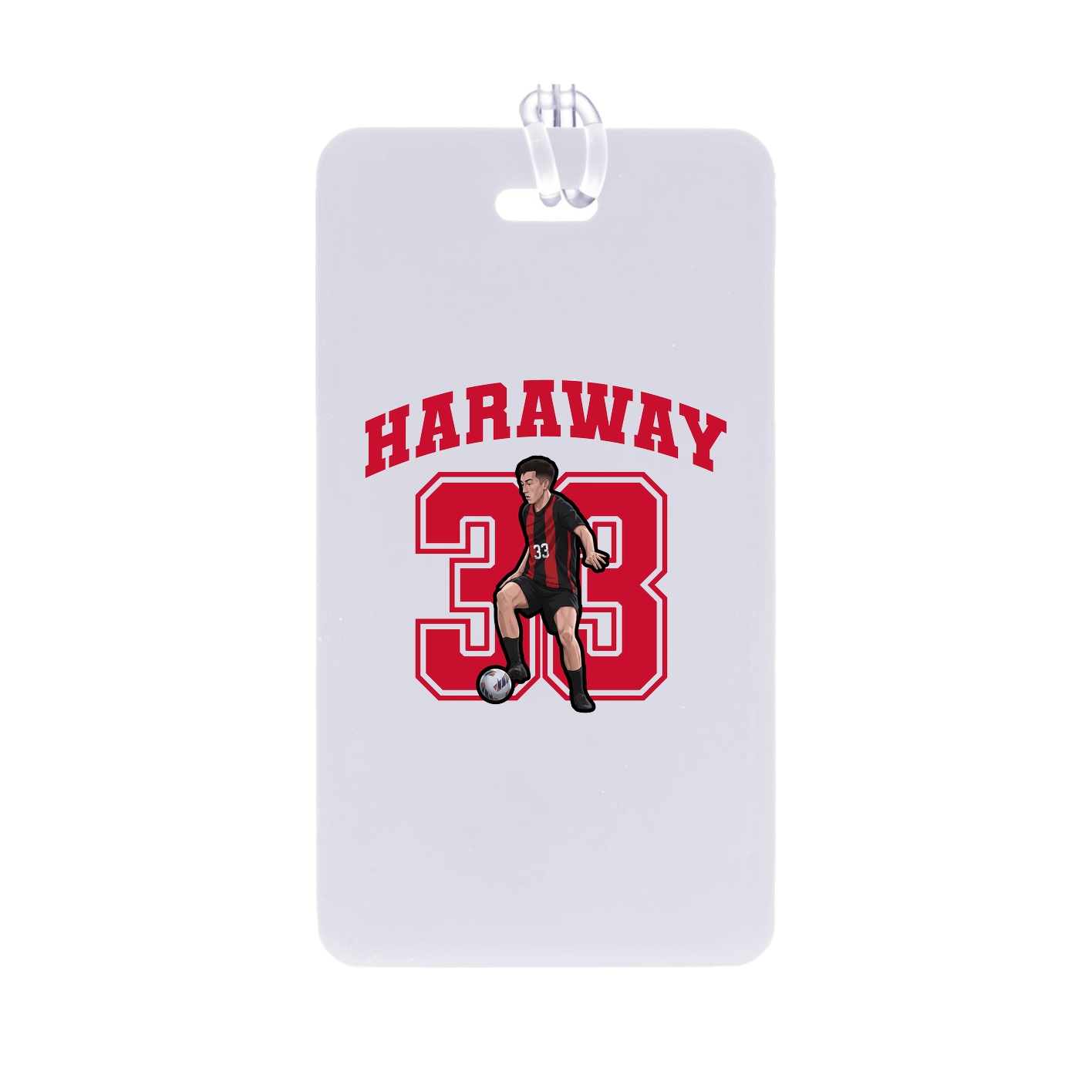 Bag Tag — Number in Classic